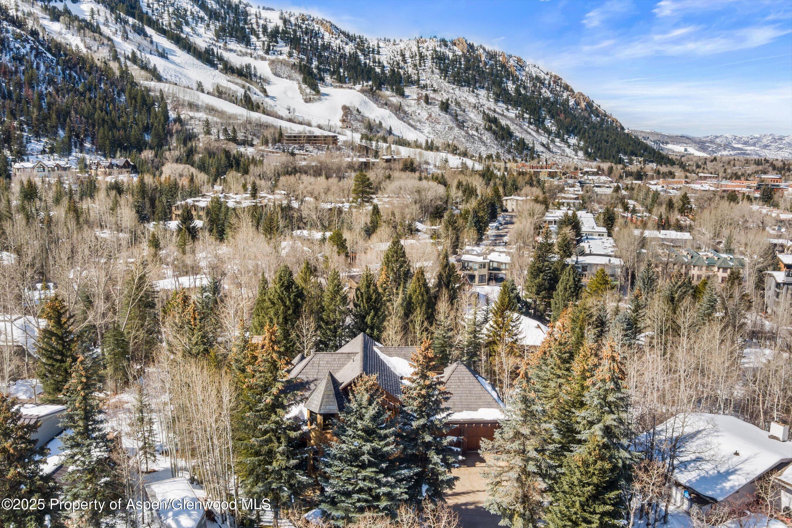 1225 Riverside Drive Aspen, CO 81611 - Photo 4 of 47 a view of a city