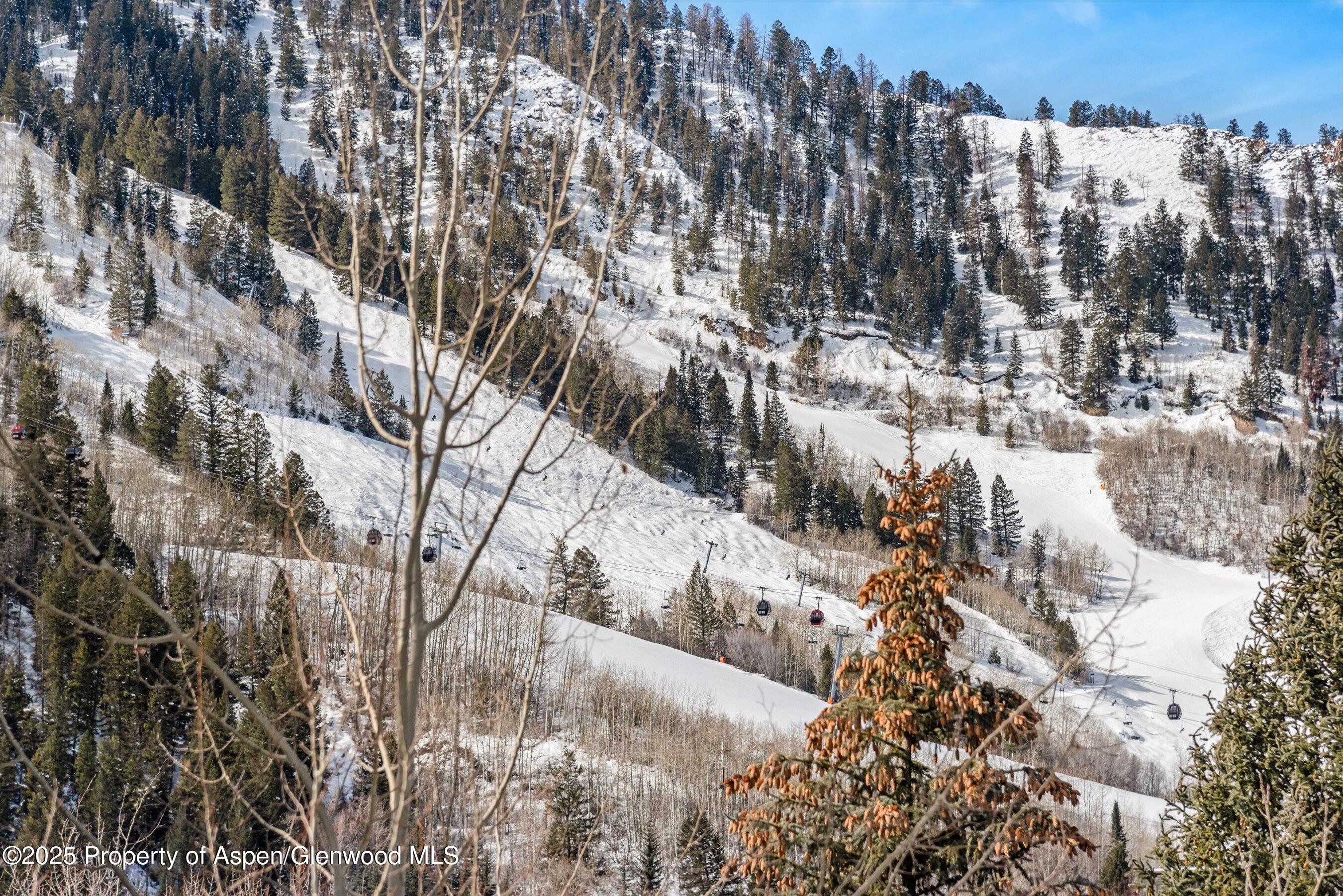1225 Riverside Drive Aspen, CO 81611 - Photo 46 of 47 a view of outdoor space and city view