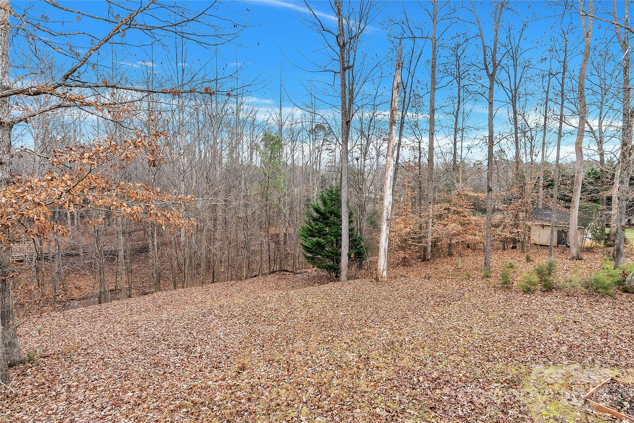 1485 Adkin Drive Iron Station, NC 28080 - Photo 39 of 42