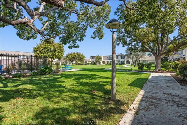 a view of a park with large trees