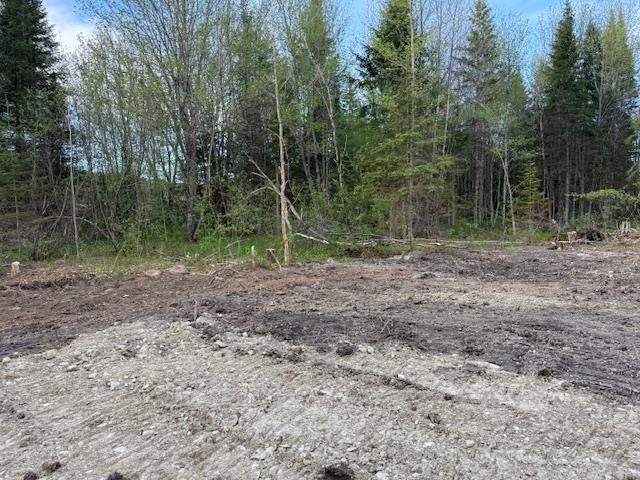 Lot 56 Faraway Road Dalton, NH 03598 - Photo 6 of 7