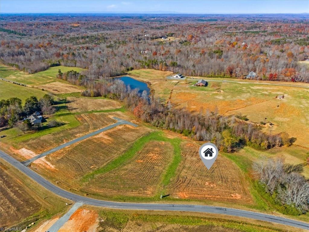 131 Pearson Farm Road Summerfield, NC 27358 - Photo 5 of 13