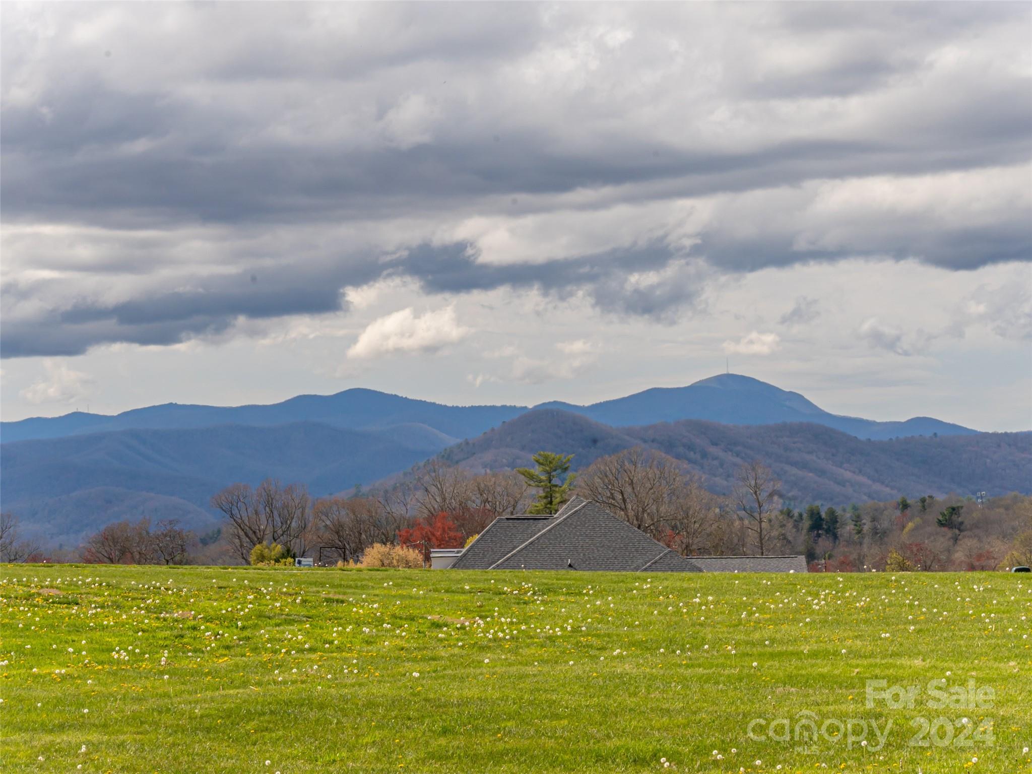 125 Majestic Ridge Road Mills River, NC 28759 - Photo 12 of 21 Gallery Image 12