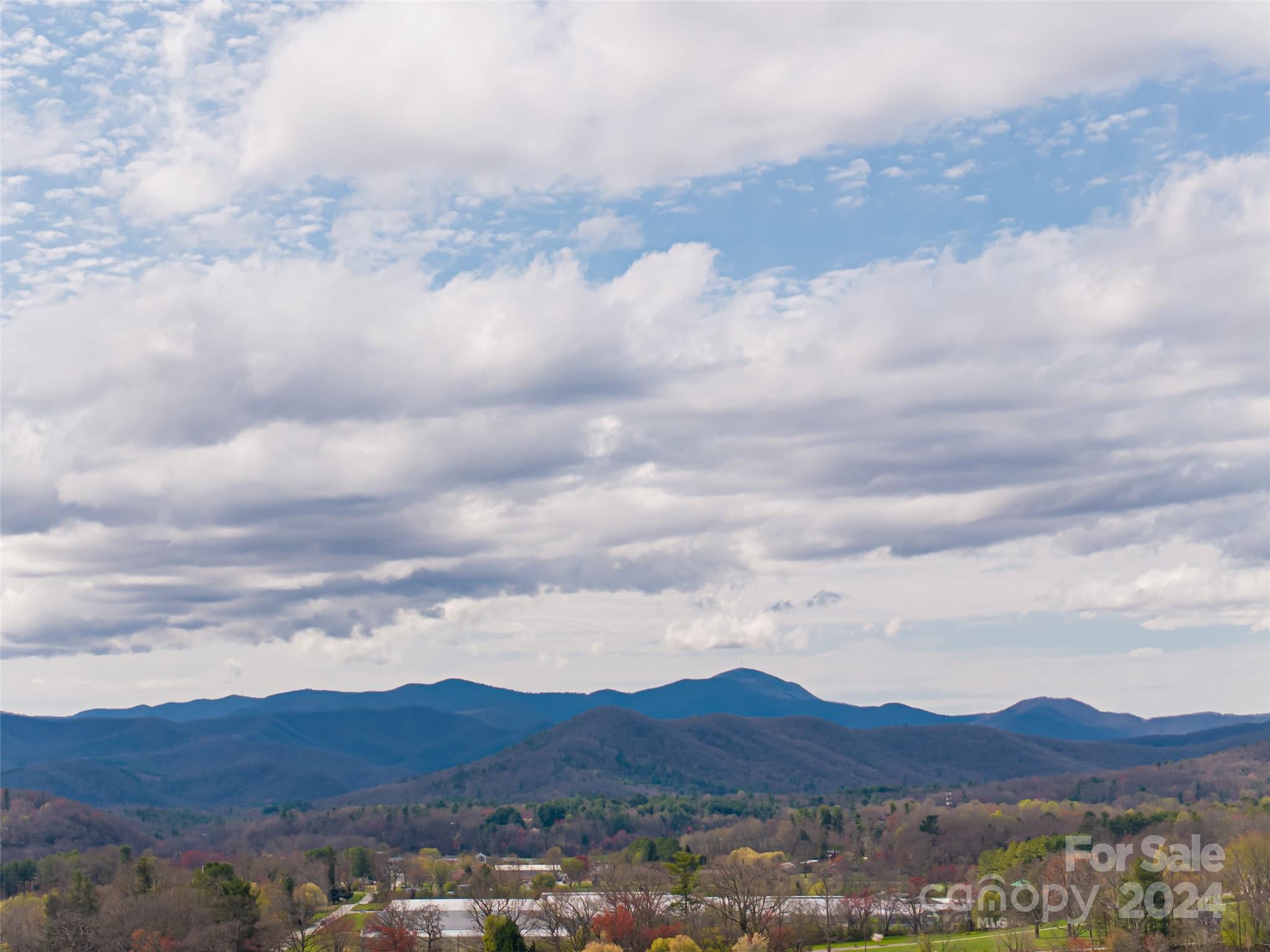 125 Majestic Ridge Road Mills River, NC 28759 - Photo 14 of 21 Gallery Image 14
