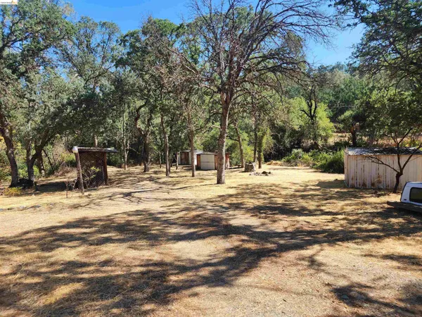a view of outdoor space with trees