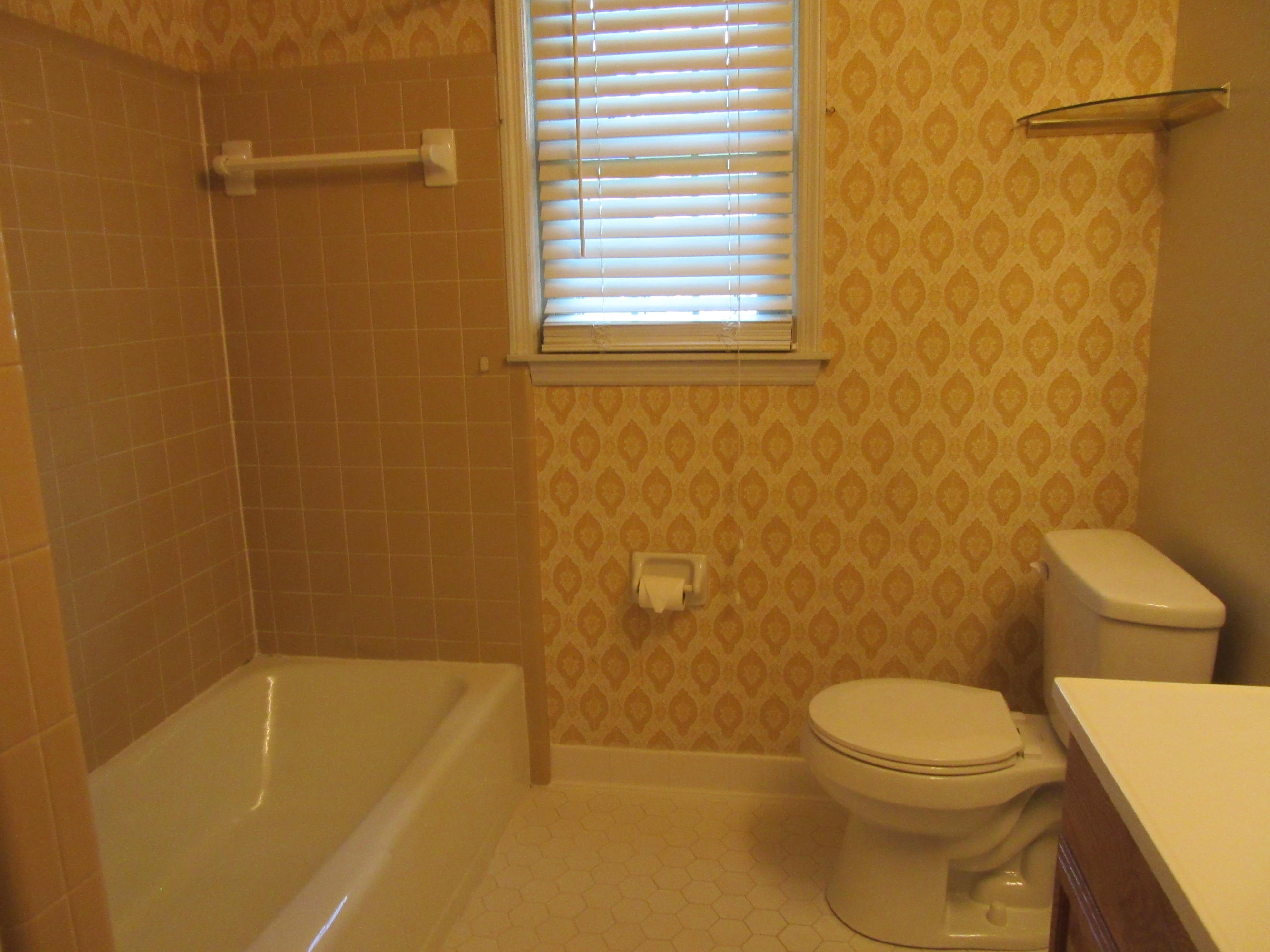 8206 Delhi Road North Charleston, SC 29406 - Photo 25 of 29 2nd bath with tub