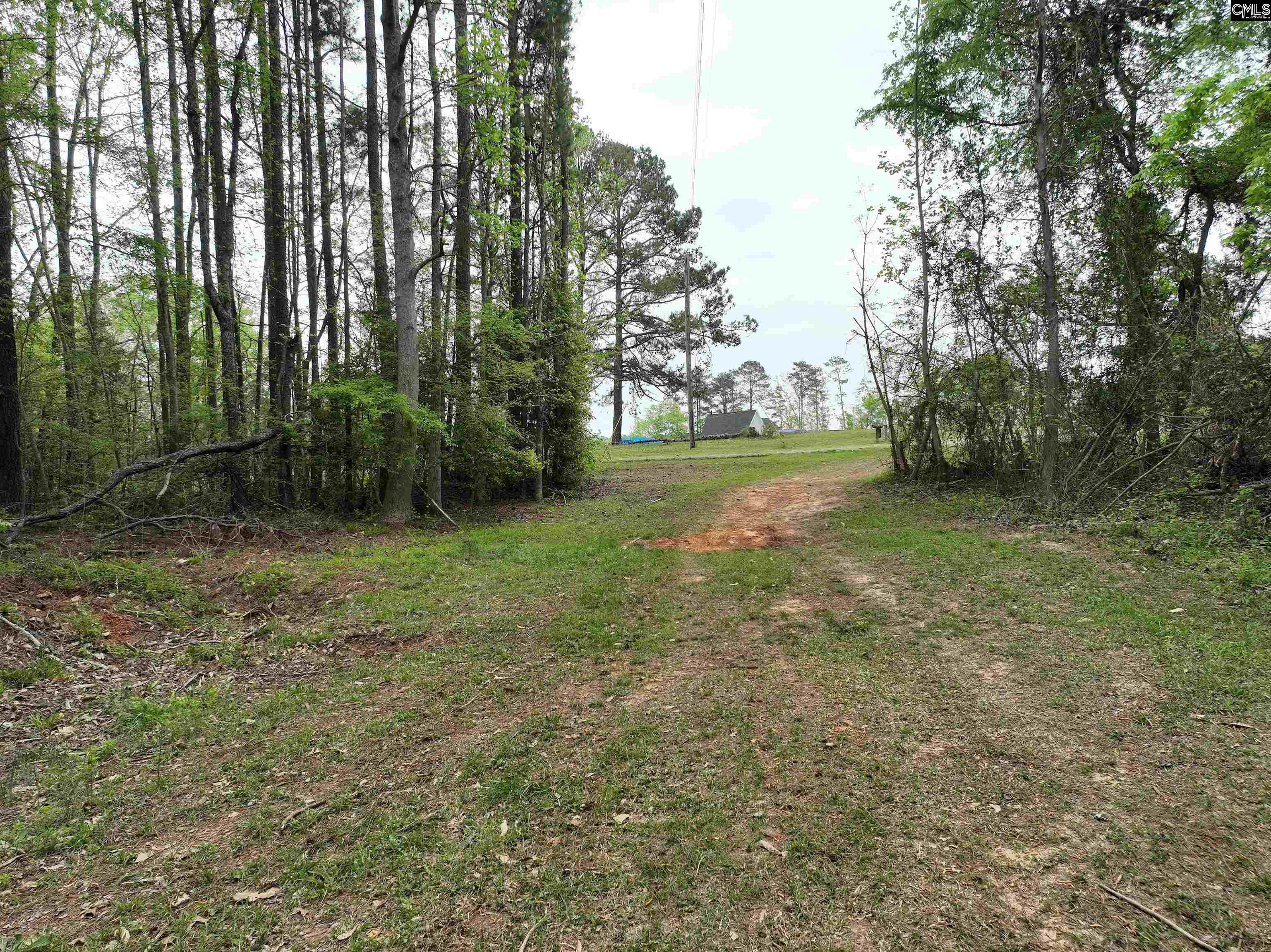 Tbd Fannie Black Road Prosperity, SC 29127 - Photo 18 of 28