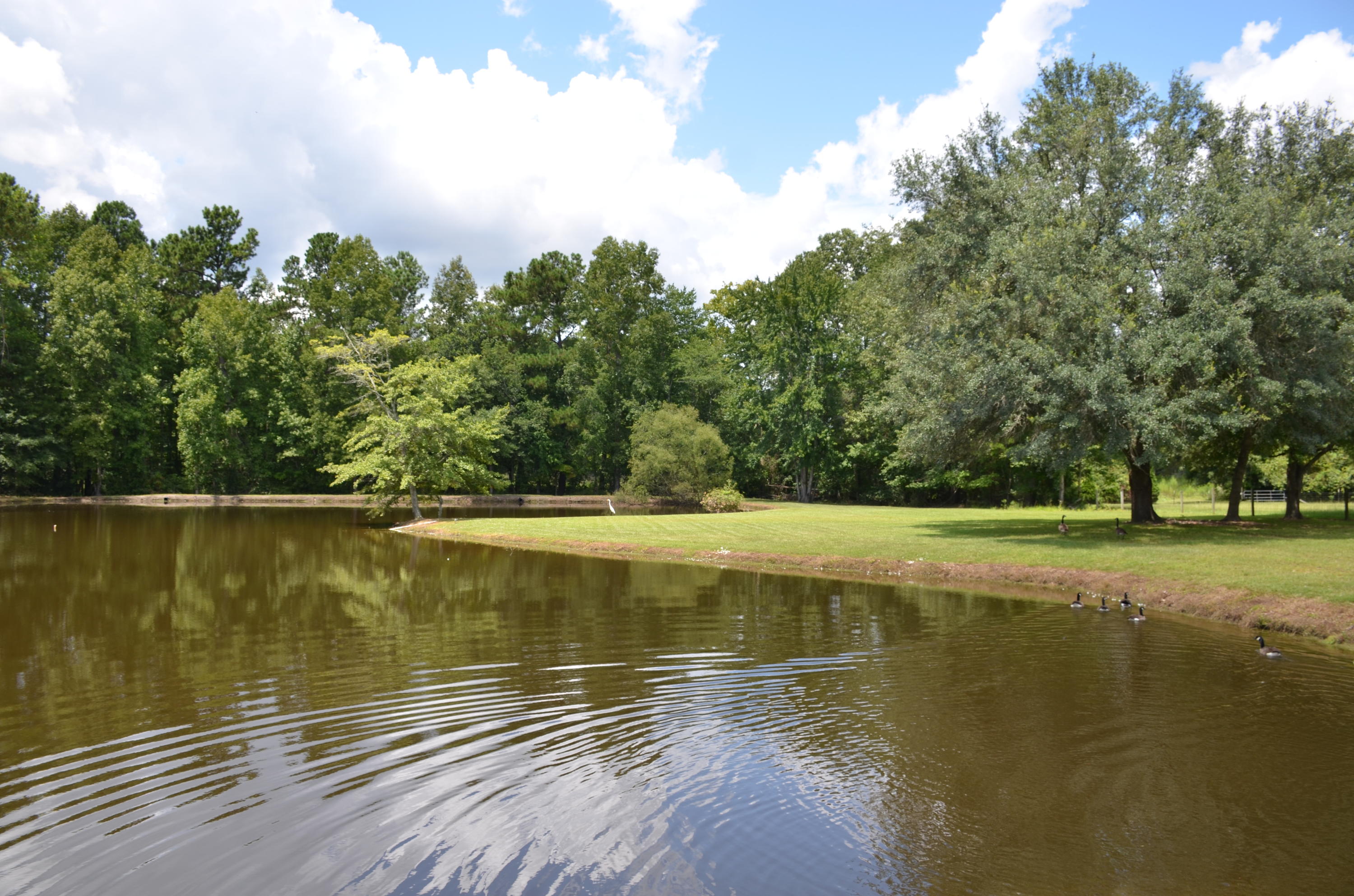 240 State Rd S-8-410 Moncks Corner, SC 29461 - Photo 12 of 33 Pond