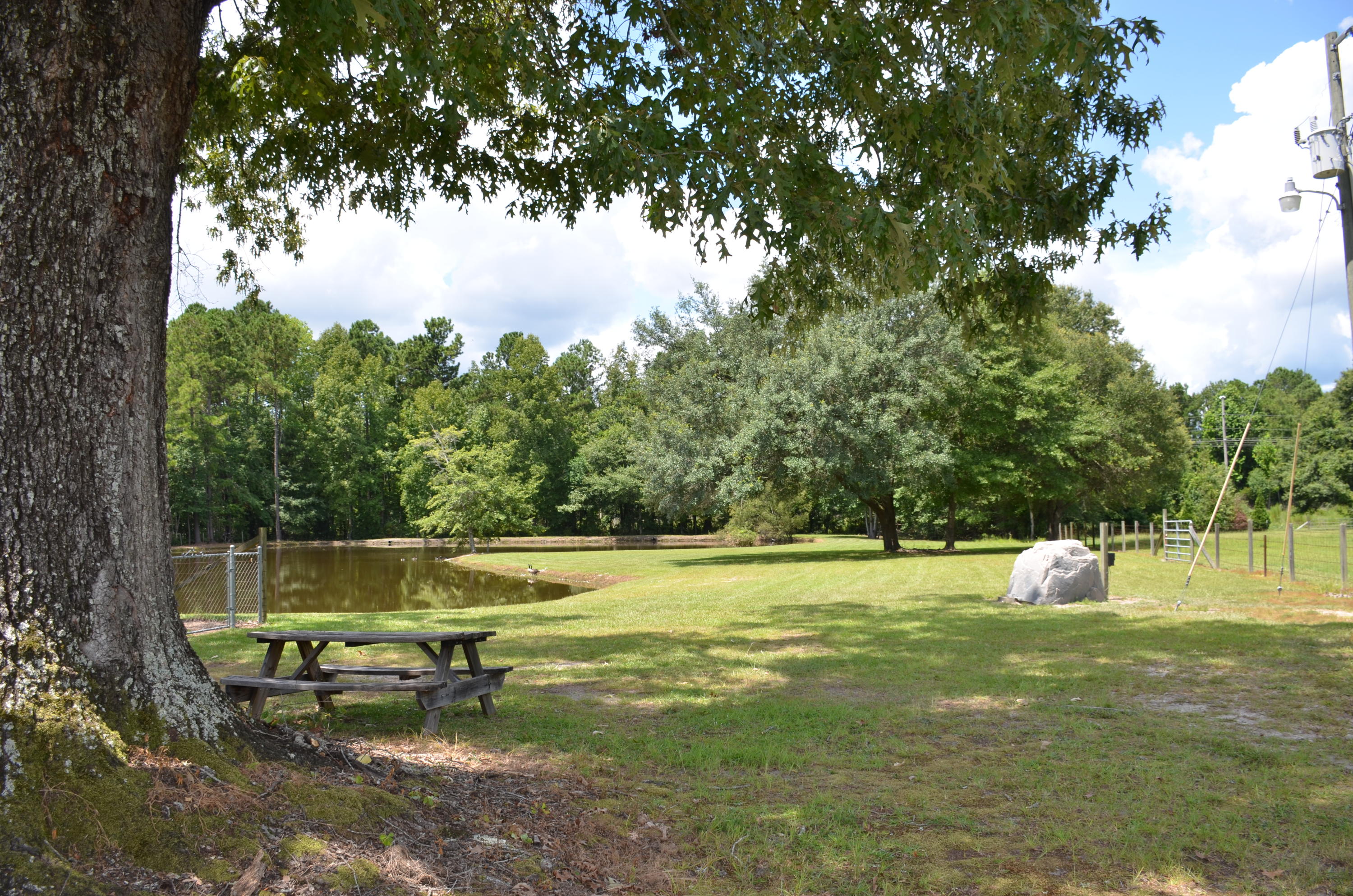 240 State Rd S-8-410 Moncks Corner, SC 29461 - Photo 5 of 33 Right view of Property