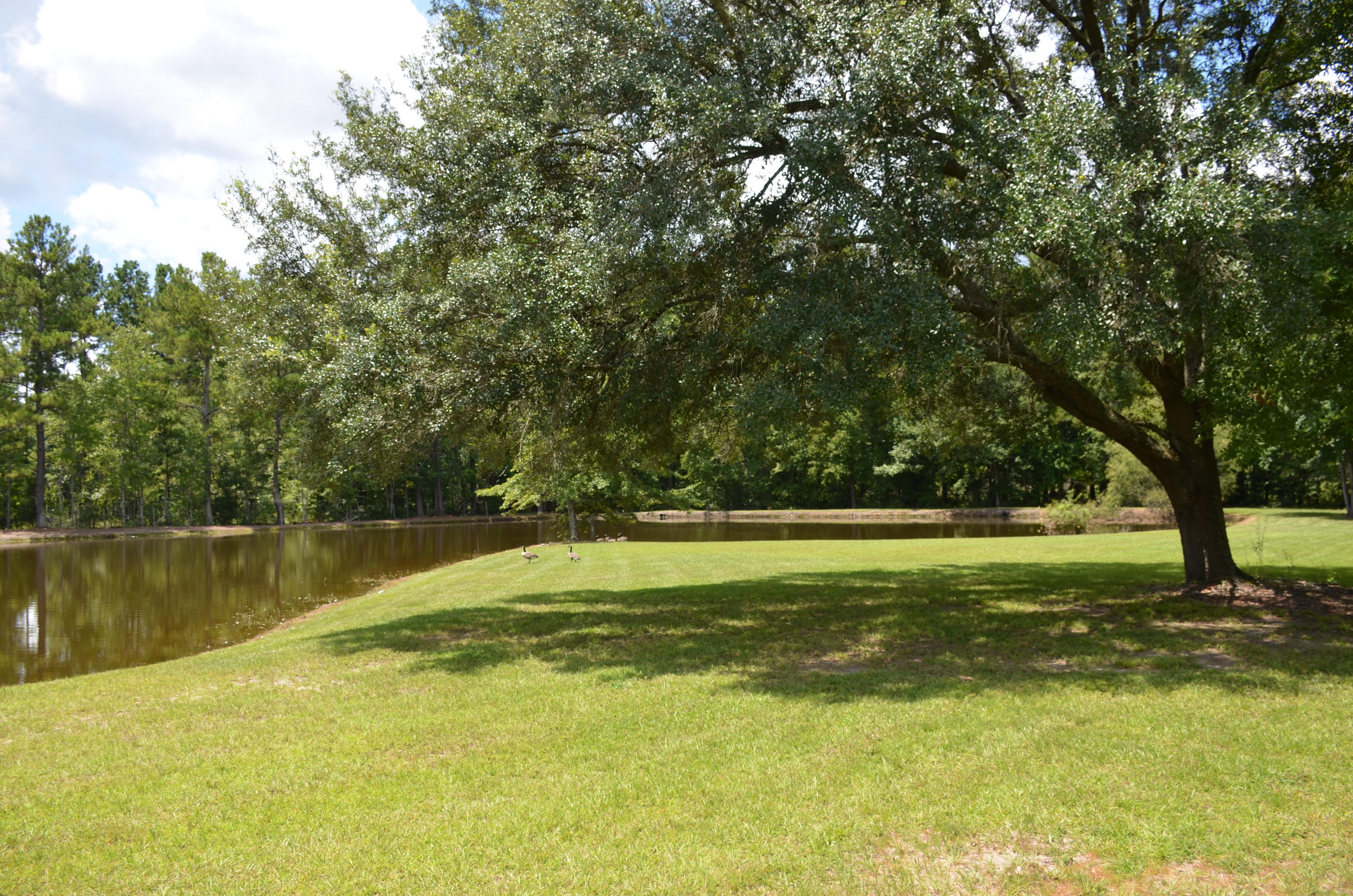 240 State Rd S-8-410 Moncks Corner, SC 29461 - Photo 6 of 33 Right view of property 2