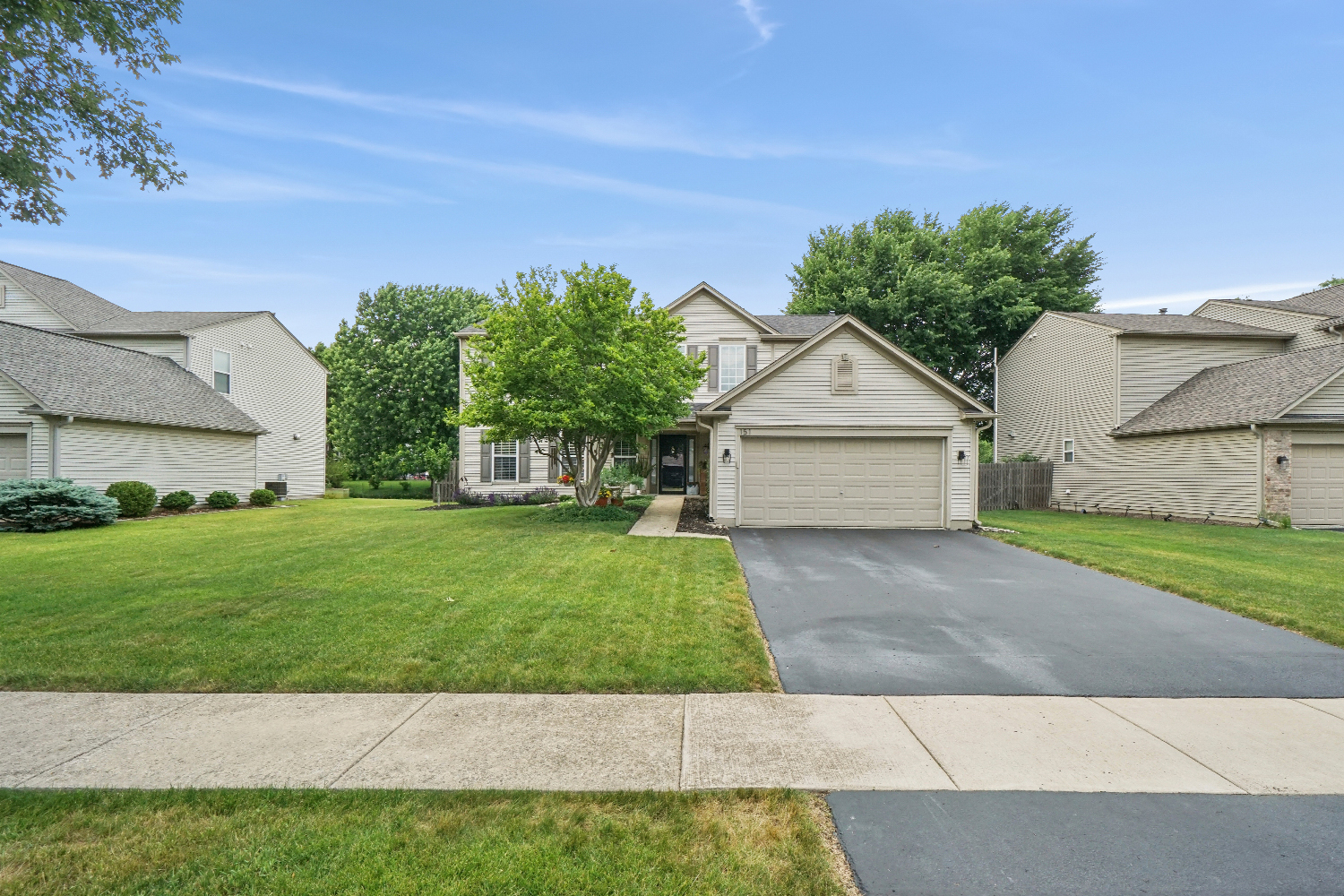 151 Holly Street Bolingbrook, IL 60490 - Photo 3 of 30