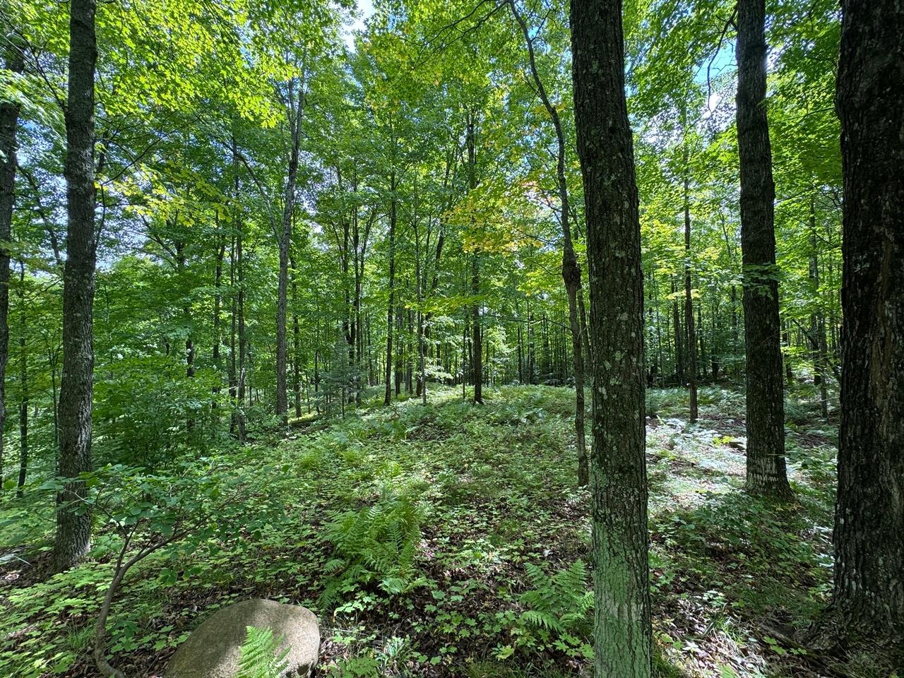 1905 Flowage Road Park Falls, WI 54552 - Photo 35 of 81 Gallery Image 35