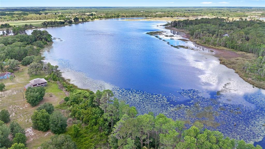 7907 Florida Boys Ranch Road Groveland, FL 34736 - Photo 73 of 80 Gallery Image 73