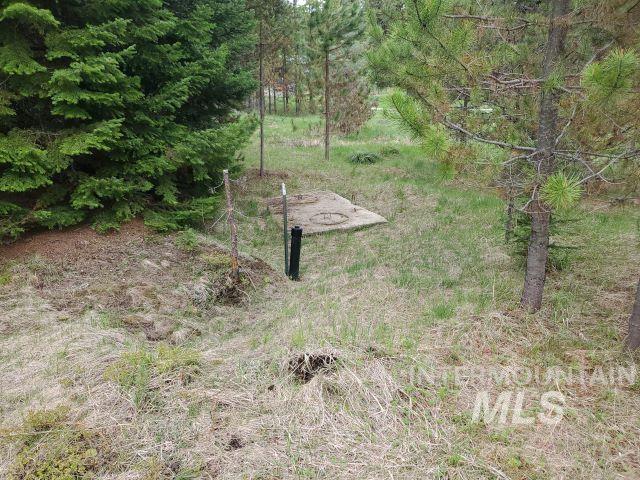 3460 American River Road Elk City, ID 83525 - Photo 43 of 50