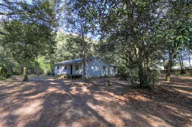 a view of a backyard with large trees