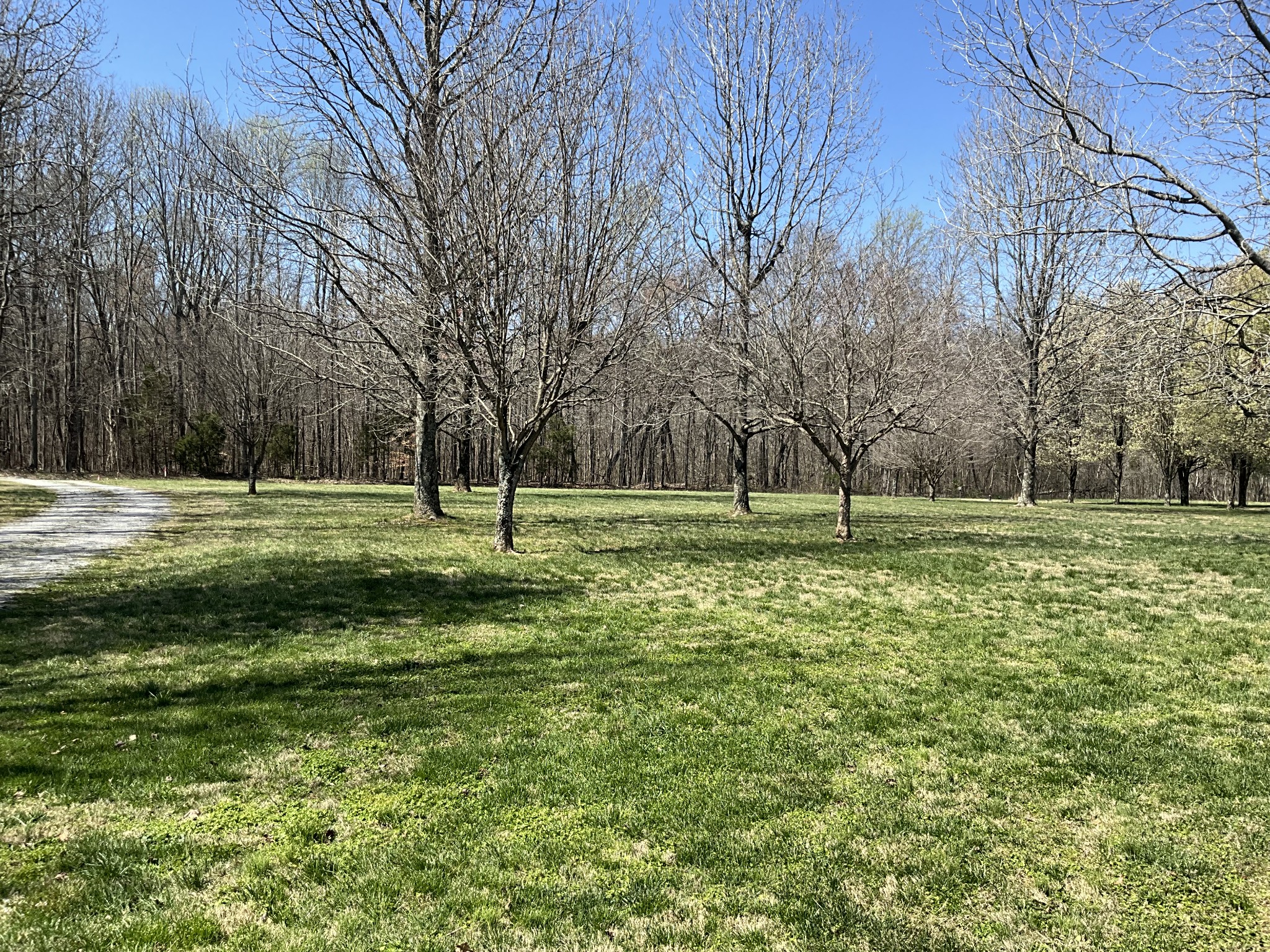 2511 Chambliss Road Pleasant View, TN 37146 - Photo 2 of 24 a view of a park with large trees