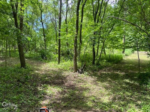 0 Marshall Road Ann Arbor, MI 48104 - Photo 4 of 7