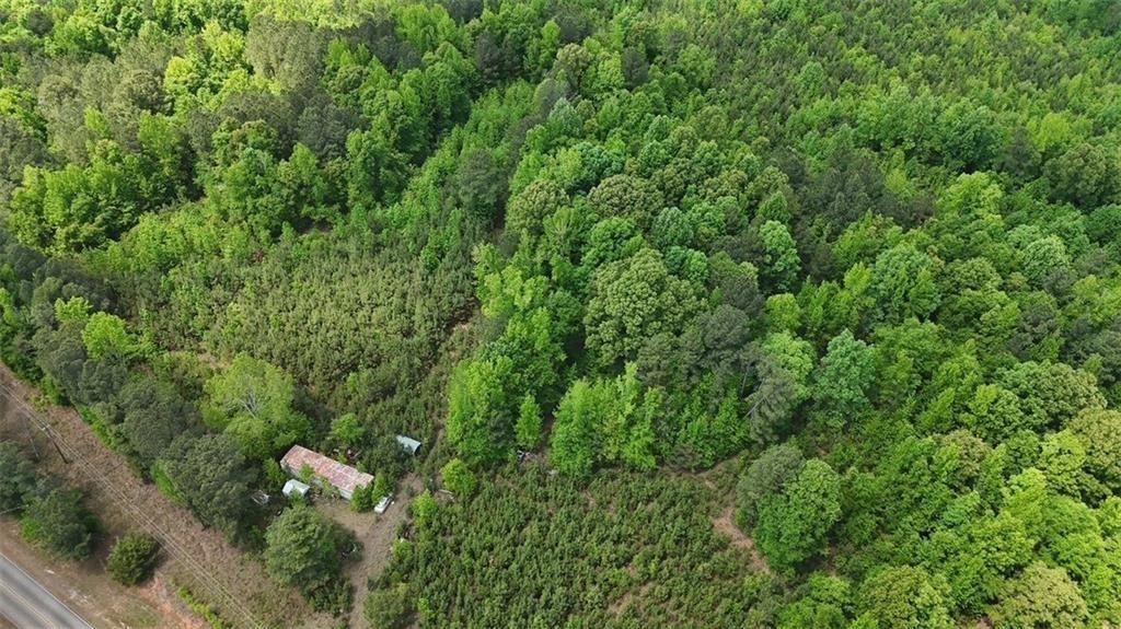 268 Ogletree Road Greenville, GA 30222 - Photo 8 of 9 a view of a house with a lush green forest