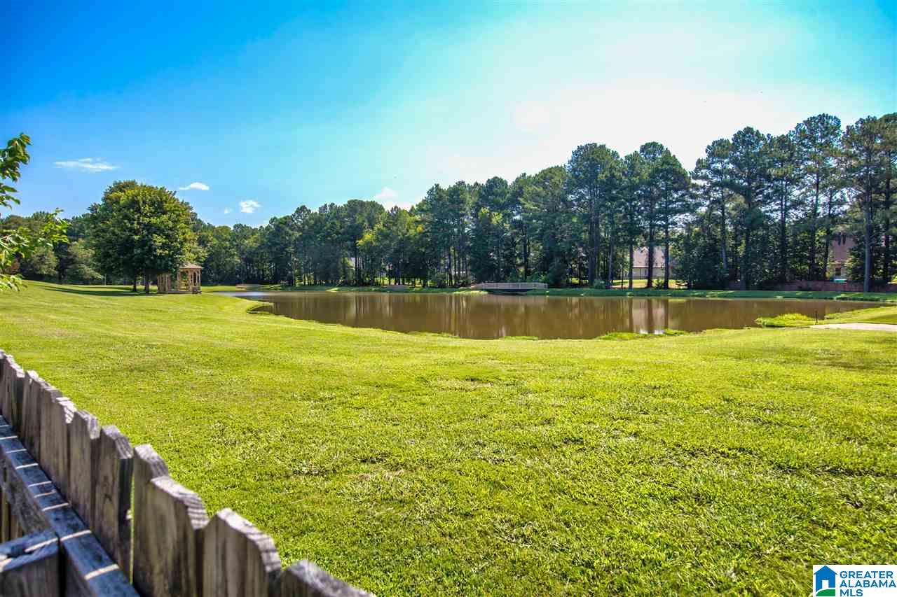 100 Weeping Circle Wilsonville, AL 35186 - Photo 31 of 31