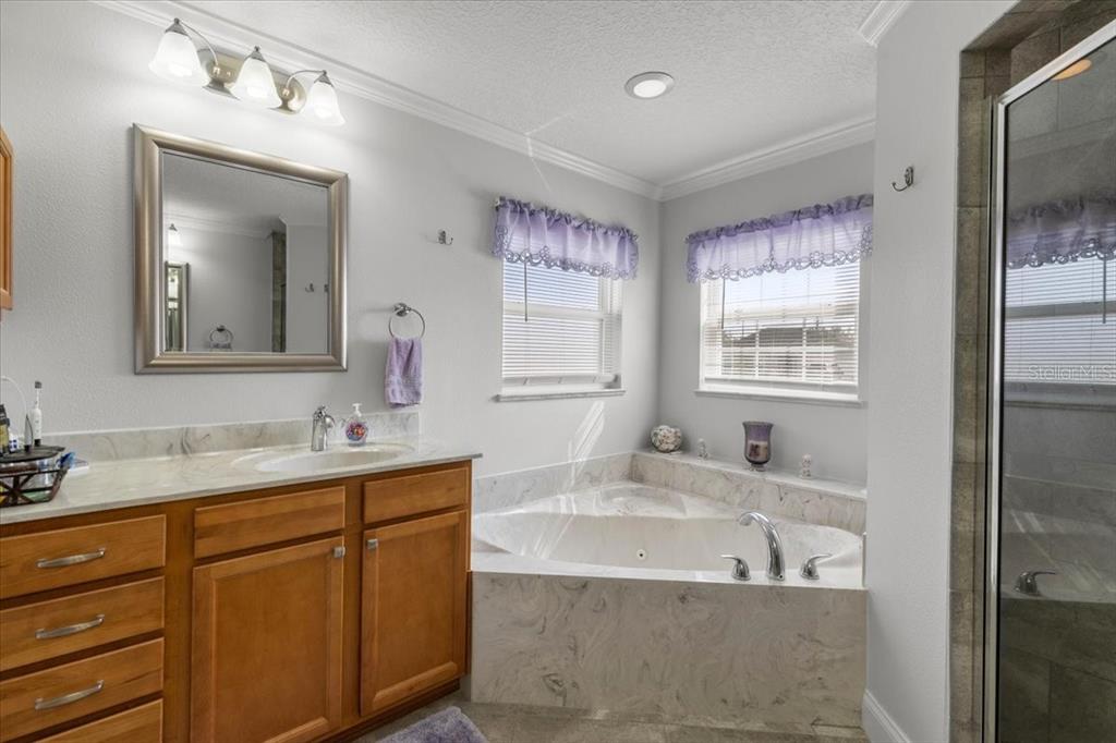 9957 Southwest 55th Ave Road Ocala, FL 34476 - Photo 17 of 41 a bathroom with a tub sink and mirror