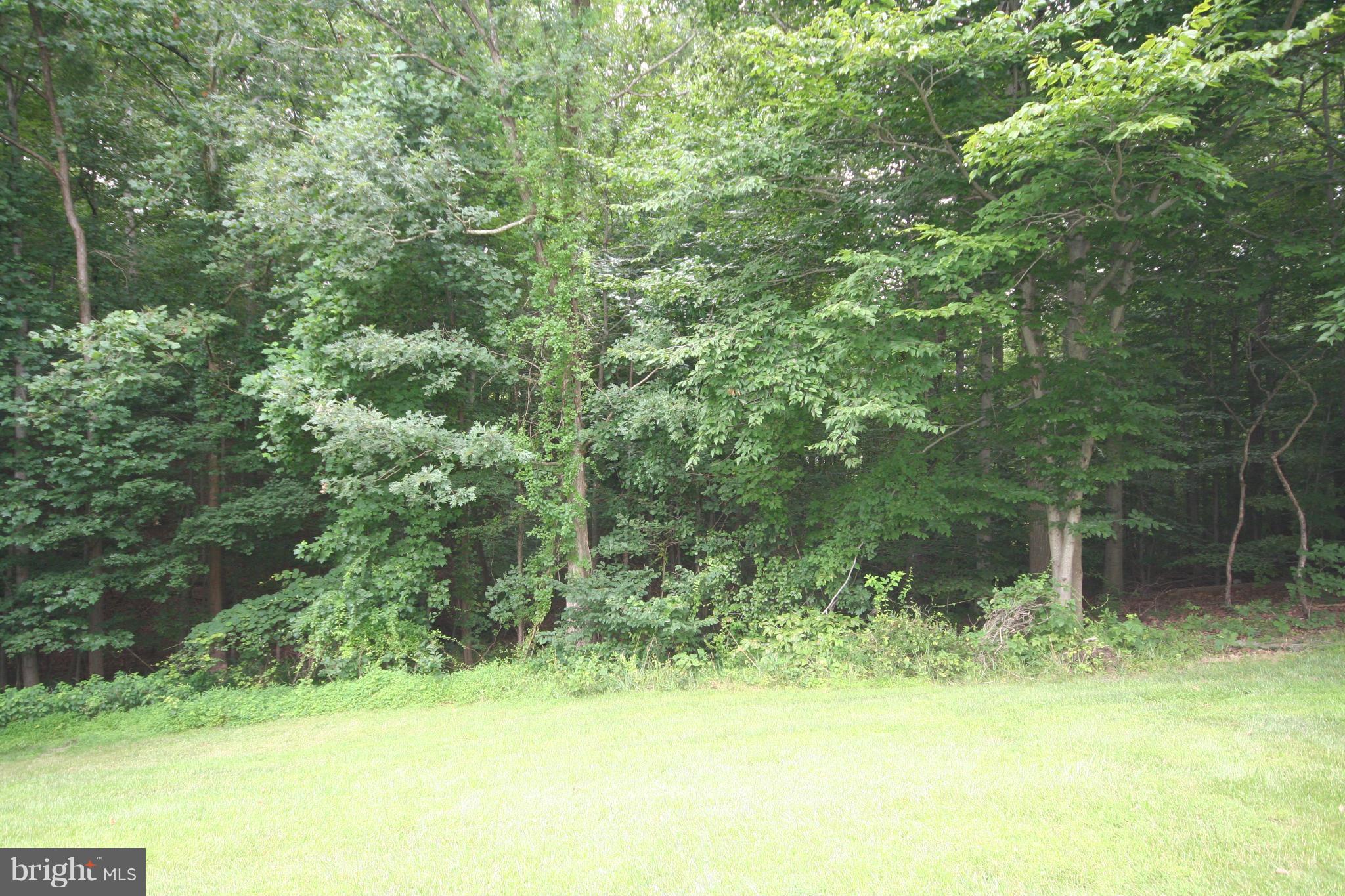 7467 Ridge Oak Court Springfield, VA 22153 - Photo 23 of 24 View from deck