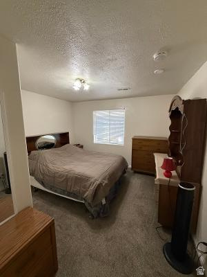 641 East Greystone Way Tooele, UT 84074 - Photo 15 of 30 Bedroom featuring textured walls and ceiling, a ceiling-mounted light fixture, a window with blinds, and carpeting