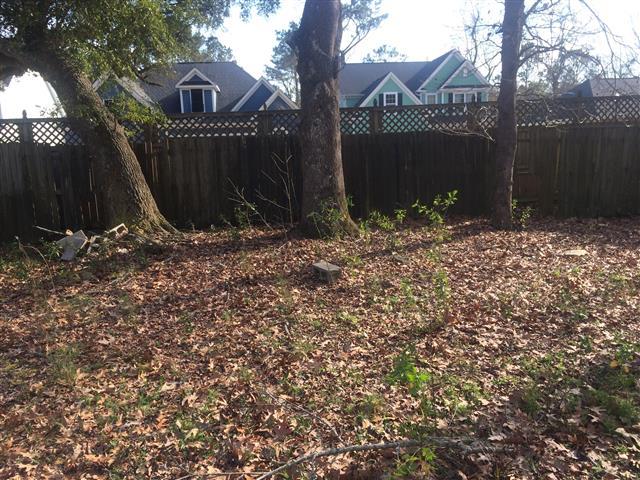 2113 Bradham Road Charleston, SC 29412 - Photo 9 of 10 009 (Small).jpg