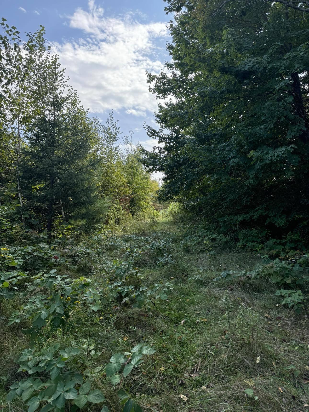 Lot 7-1 Clark Road Kenduskeag, ME 04450 - Photo 10 of 13 458505100_369558309555305_72864524393596