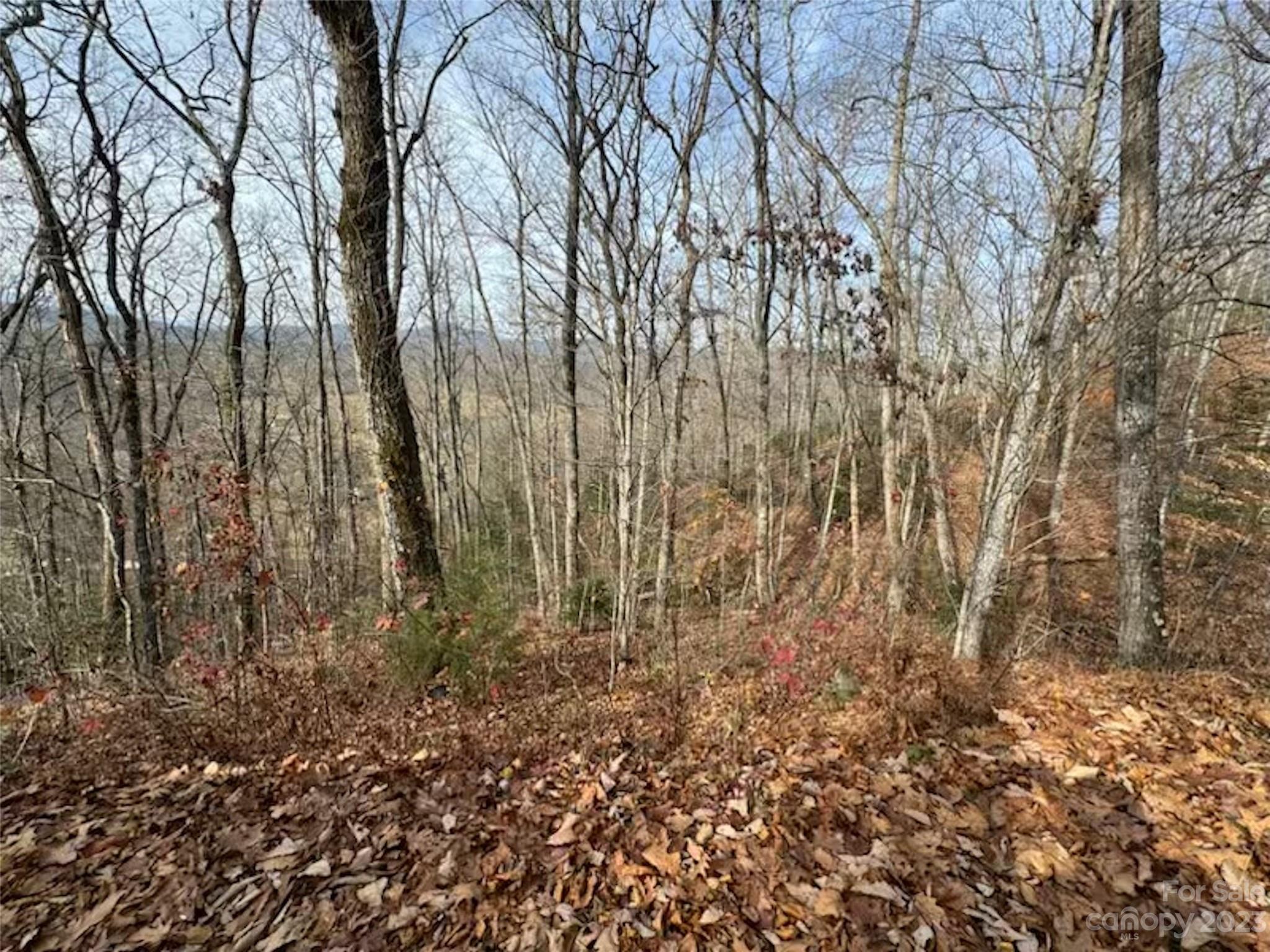 Lot 17 Franklin Farm Road Franklin, NC 28734 - Photo 3 of 3 a view of yard with trees