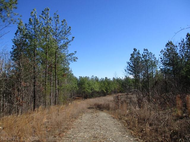 220 Bus Road Stoneville, NC 27048 - Photo 18 of 40 Gallery Image 18