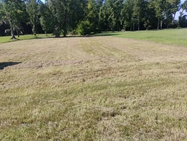 $75,000 | 0 West Worthy Road, Gonzales, LA 70737