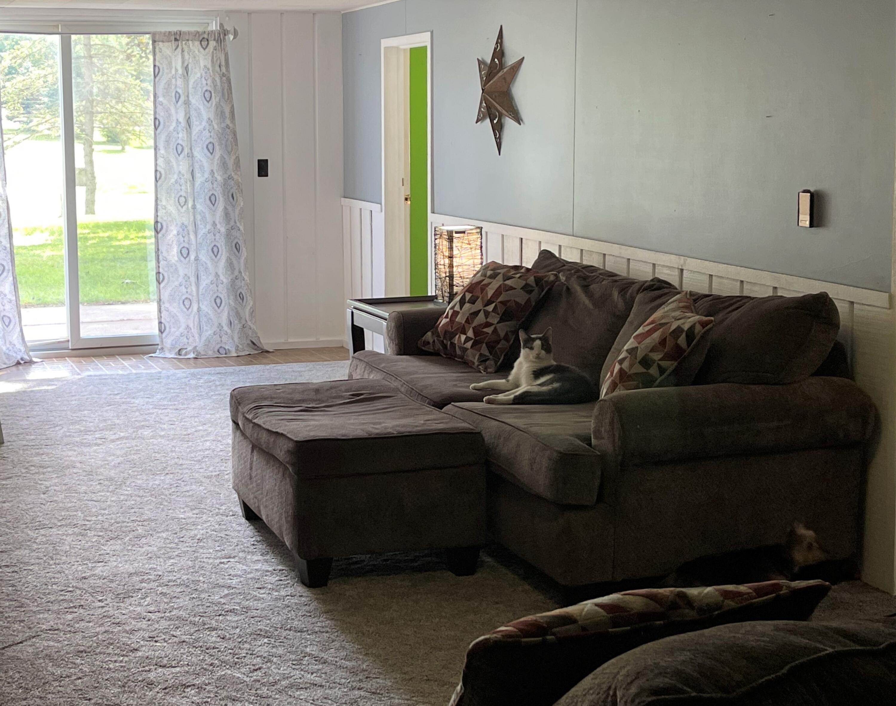 5990 North Sandstone Road Jackson, MI 49201 - Photo 20 of 27 finished basement 2