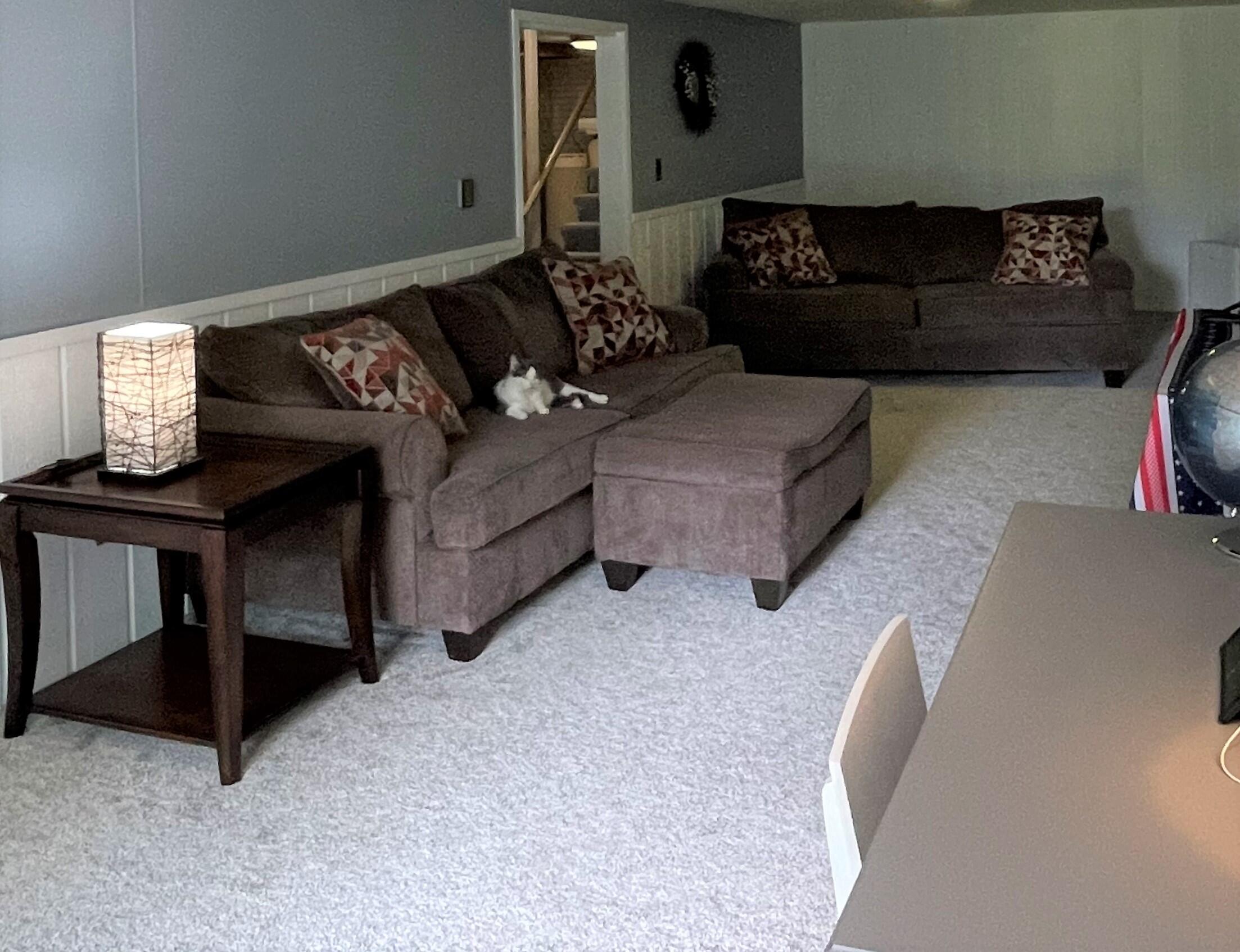 5990 North Sandstone Road Jackson, MI 49201 - Photo 21 of 27 finished basement1