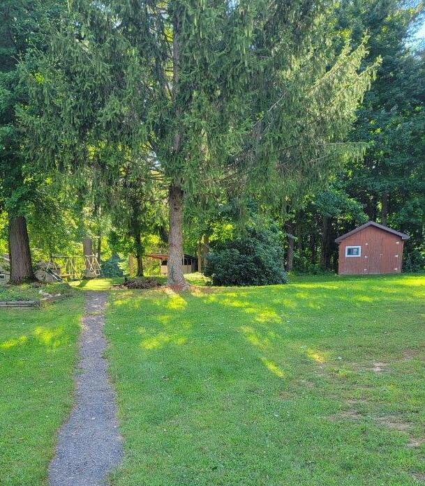 5990 North Sandstone Road Jackson, MI 49201 - Photo 3 of 27 backyardarea