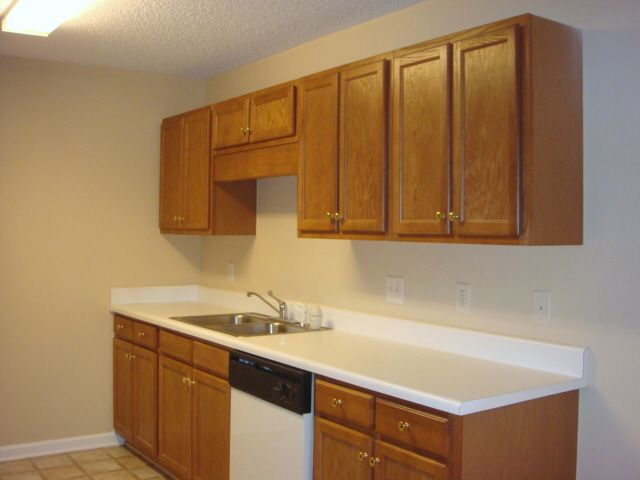 504 Pelham Square Way Greer, SC 29650 - Photo 7 of 9 Gallery Image 7
