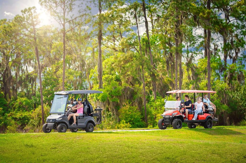 31590 Spanish Msn Road San Antonio, FL 33576 - Photo 17 of 26 a view of a children toys in front of house