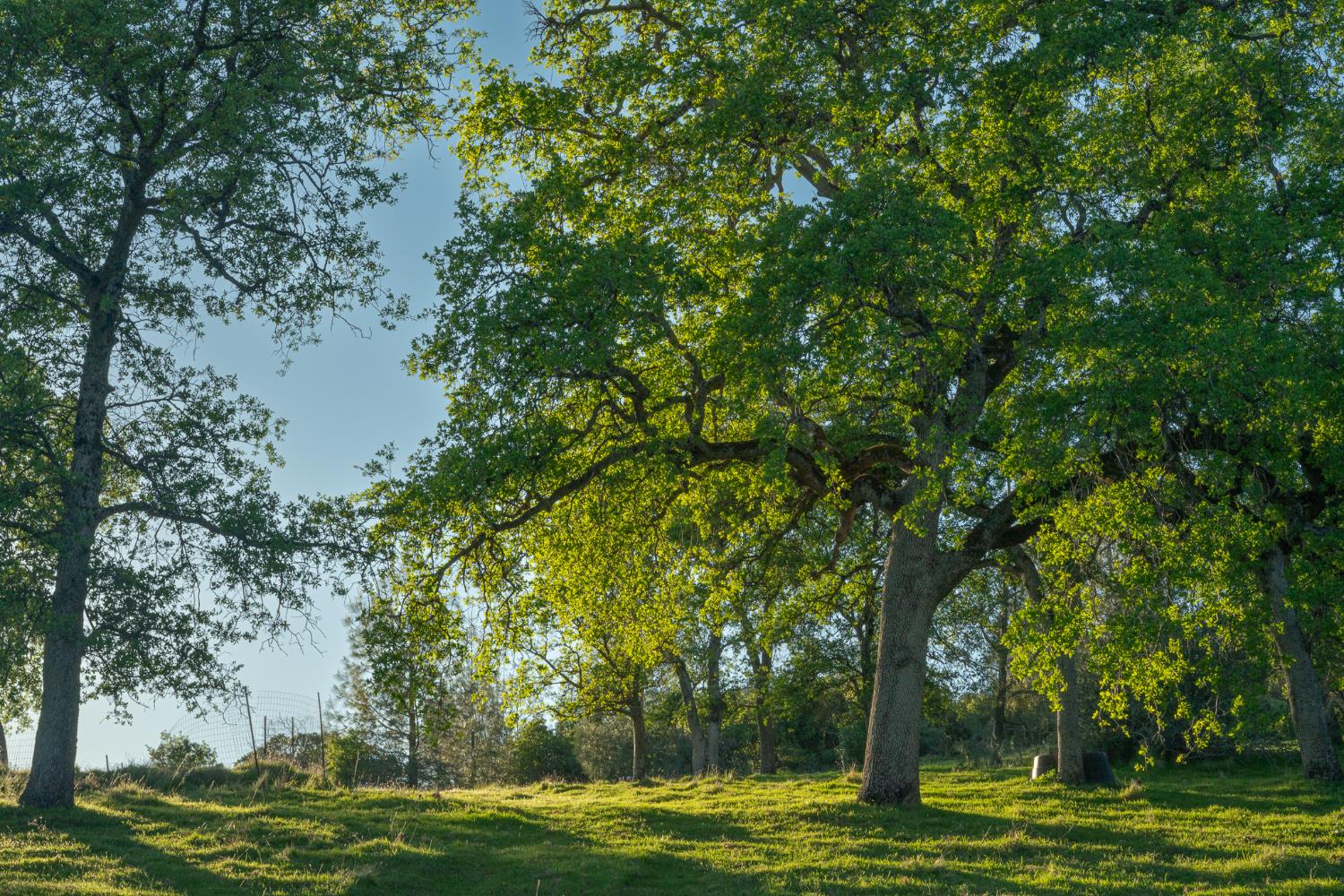 21041 Dalzell Road Smartsville, CA 95977 - Photo 13 of 84 a view of a ocean view