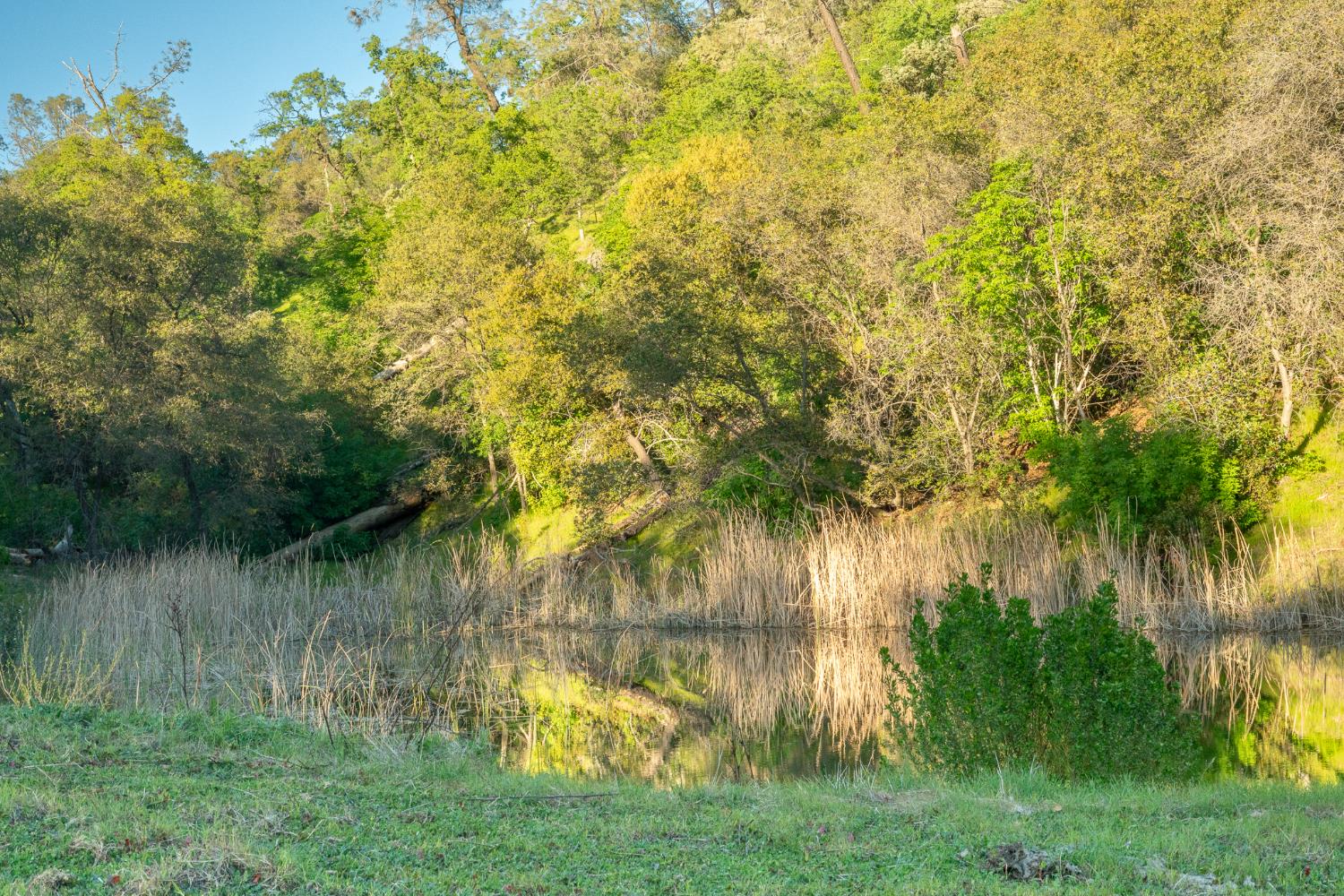 21041 Dalzell Road Smartsville, CA 95977 - Photo 15 of 84 a view of lake with a big yard
