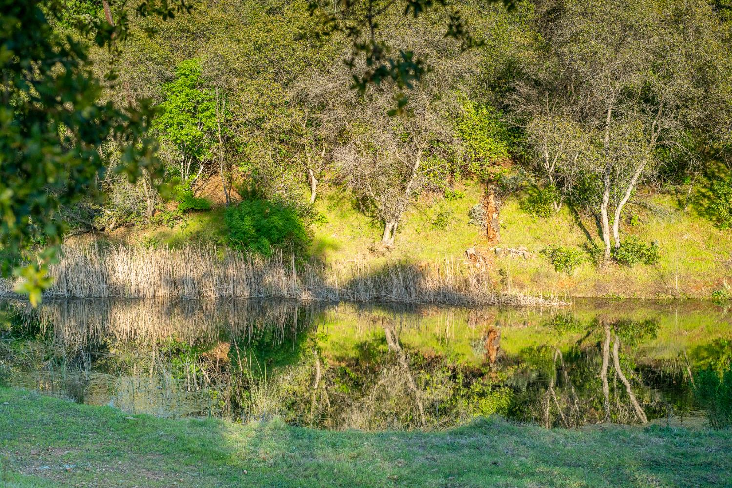 21041 Dalzell Road Smartsville, CA 95977 - Photo 16 of 84 a view of lake view