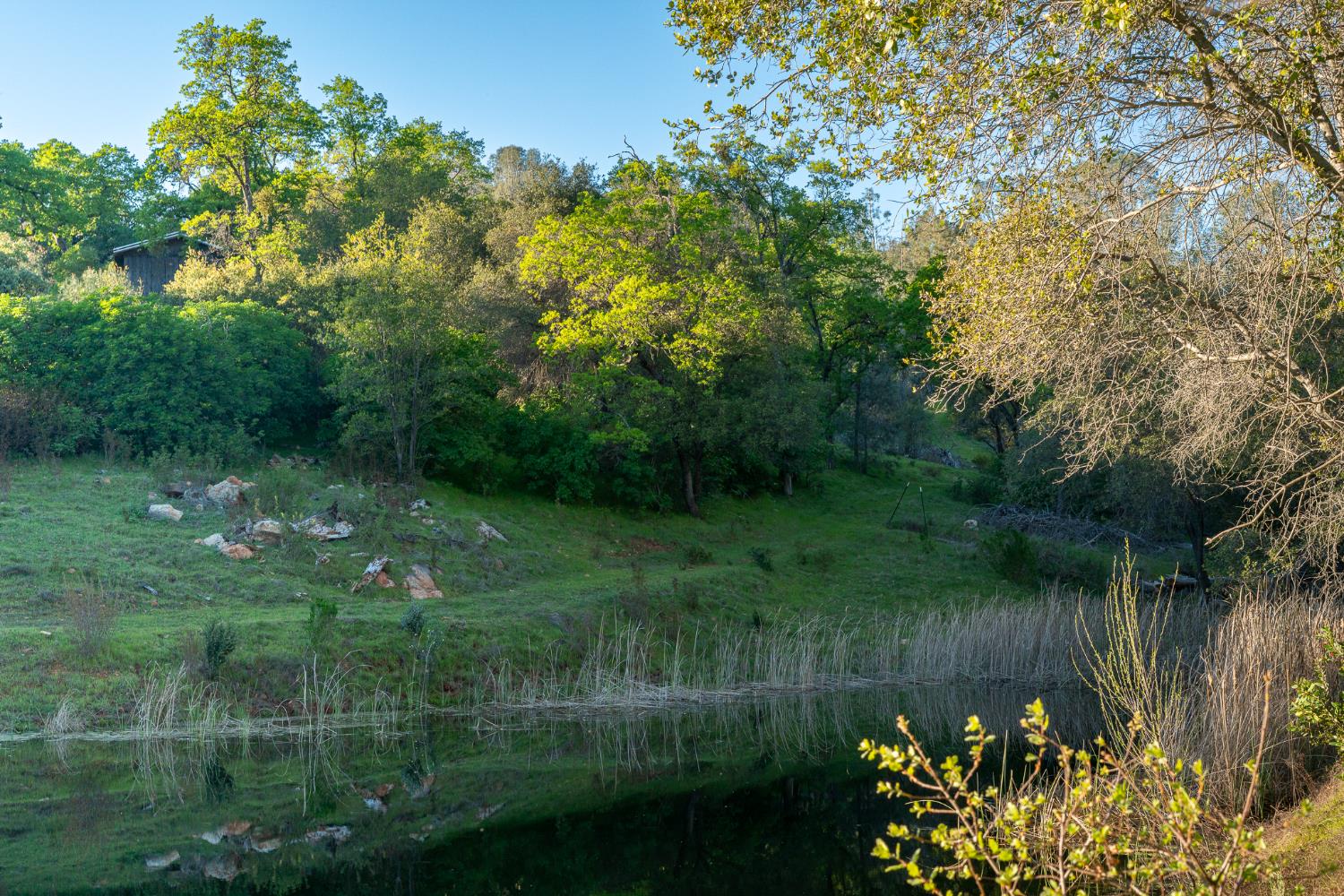 21041 Dalzell Road Smartsville, CA 95977 - Photo 17 of 84 a view of a lake with a yard