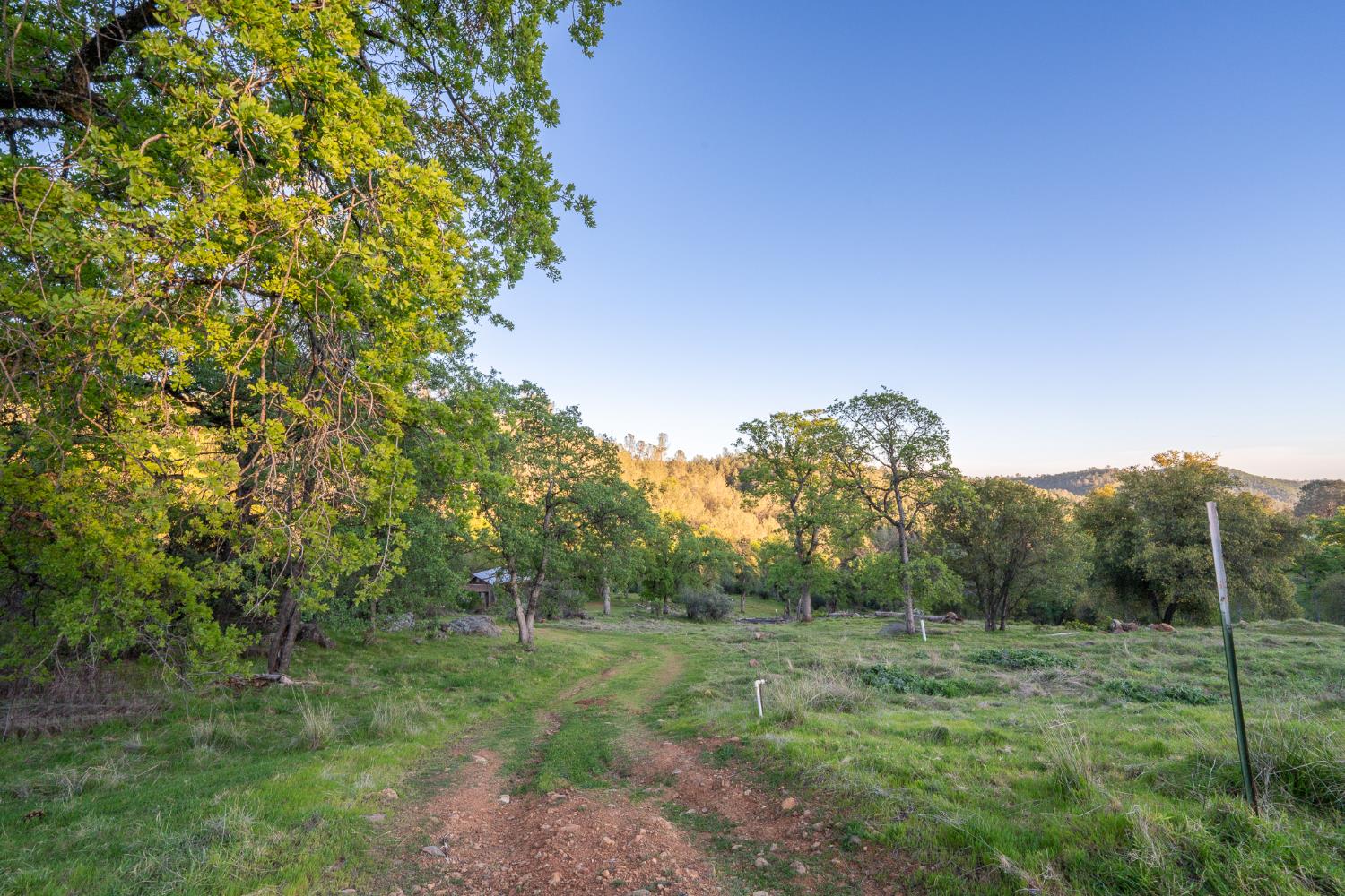 21041 Dalzell Road Smartsville, CA 95977 - Photo 19 of 84 a view of a lush green space