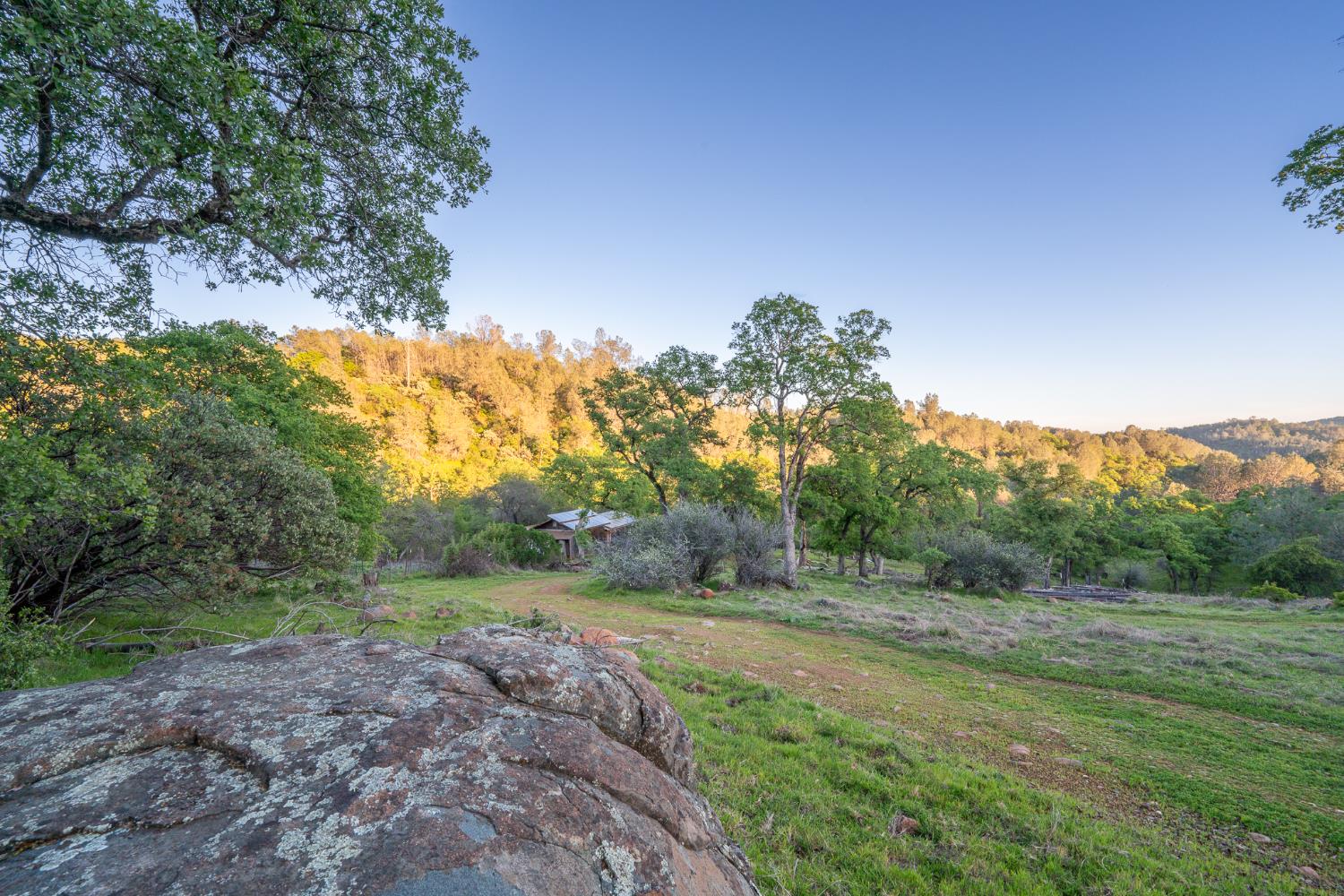 21041 Dalzell Road Smartsville, CA 95977 - Photo 20 of 84 a view of a road with a yard