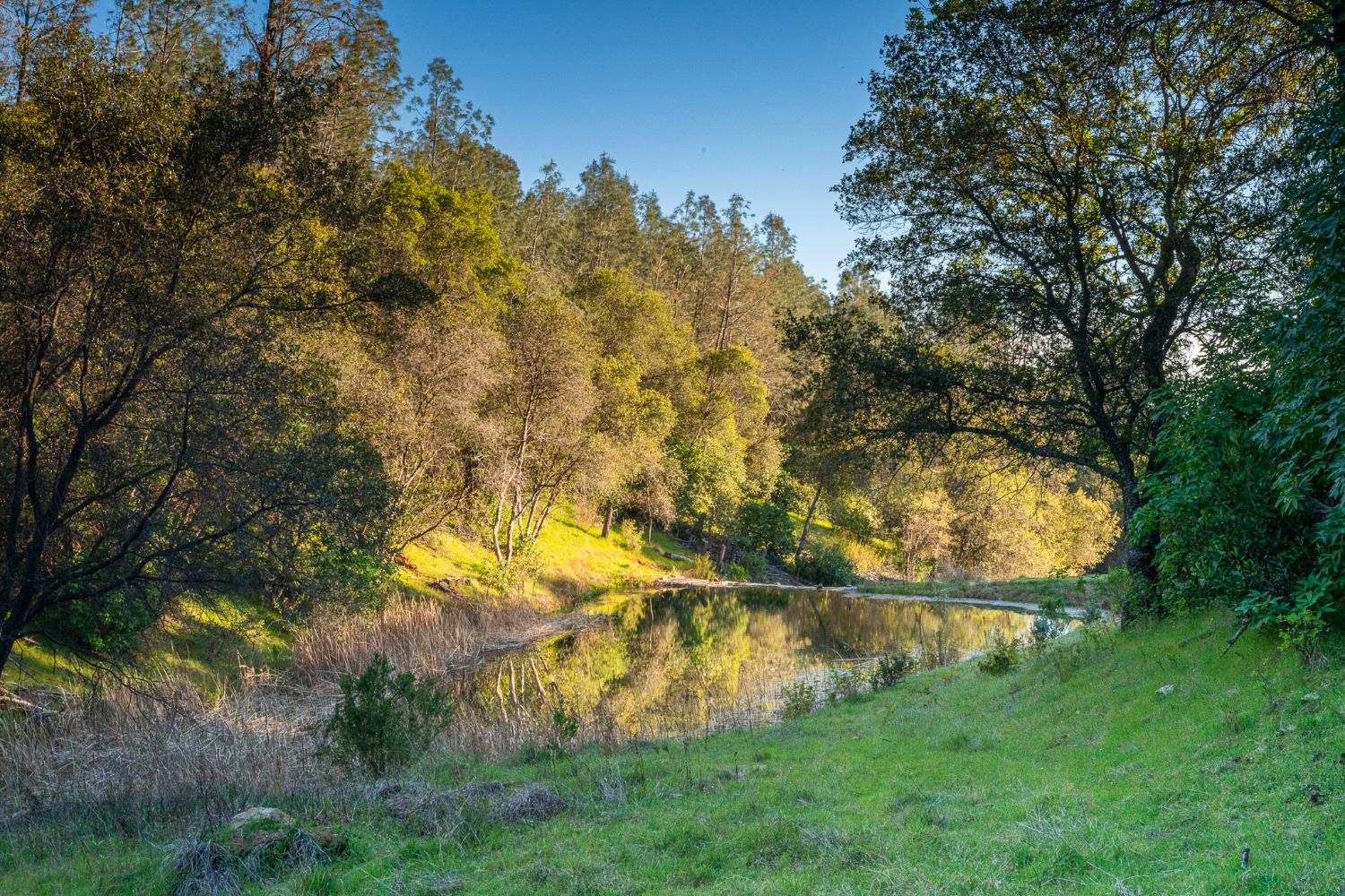 21041 Dalzell Road Smartsville, CA 95977 - Photo 2 of 84 a view of swimming pool of a house with green space