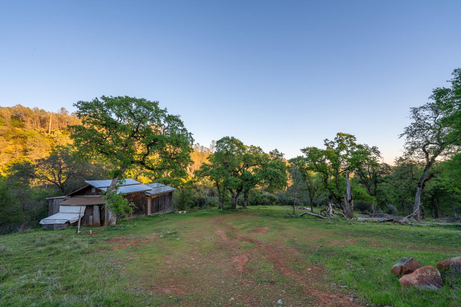 21041 Dalzell Road Smartsville, CA 95977 - Photo 22 of 84 a view of a wooden house with a yard