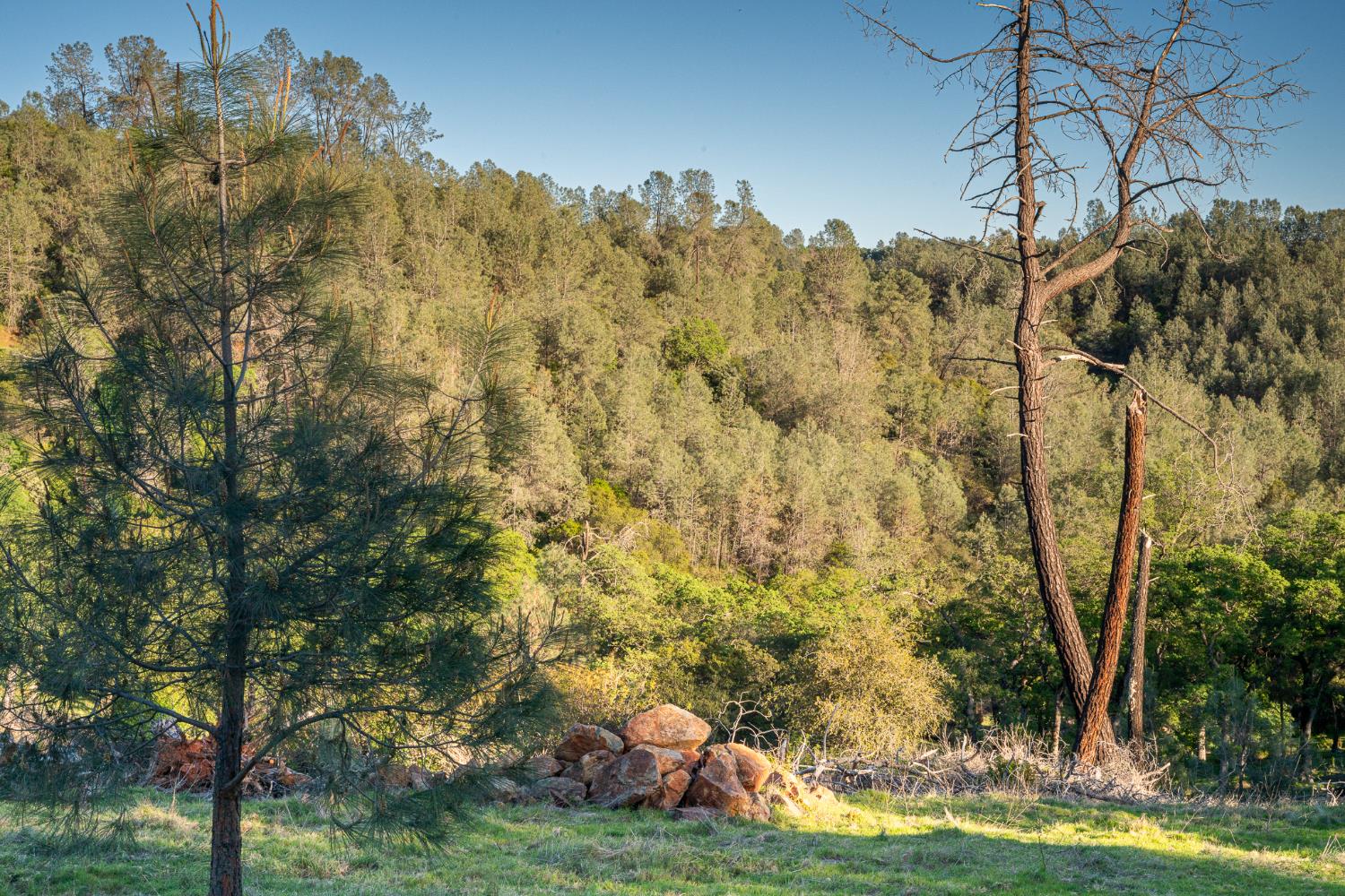 21041 Dalzell Road Smartsville, CA 95977 - Photo 26 of 84