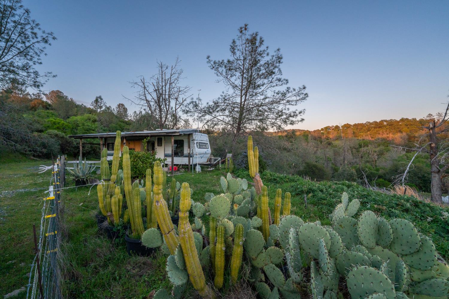 21041 Dalzell Road Smartsville, CA 95977 - Photo 28 of 84