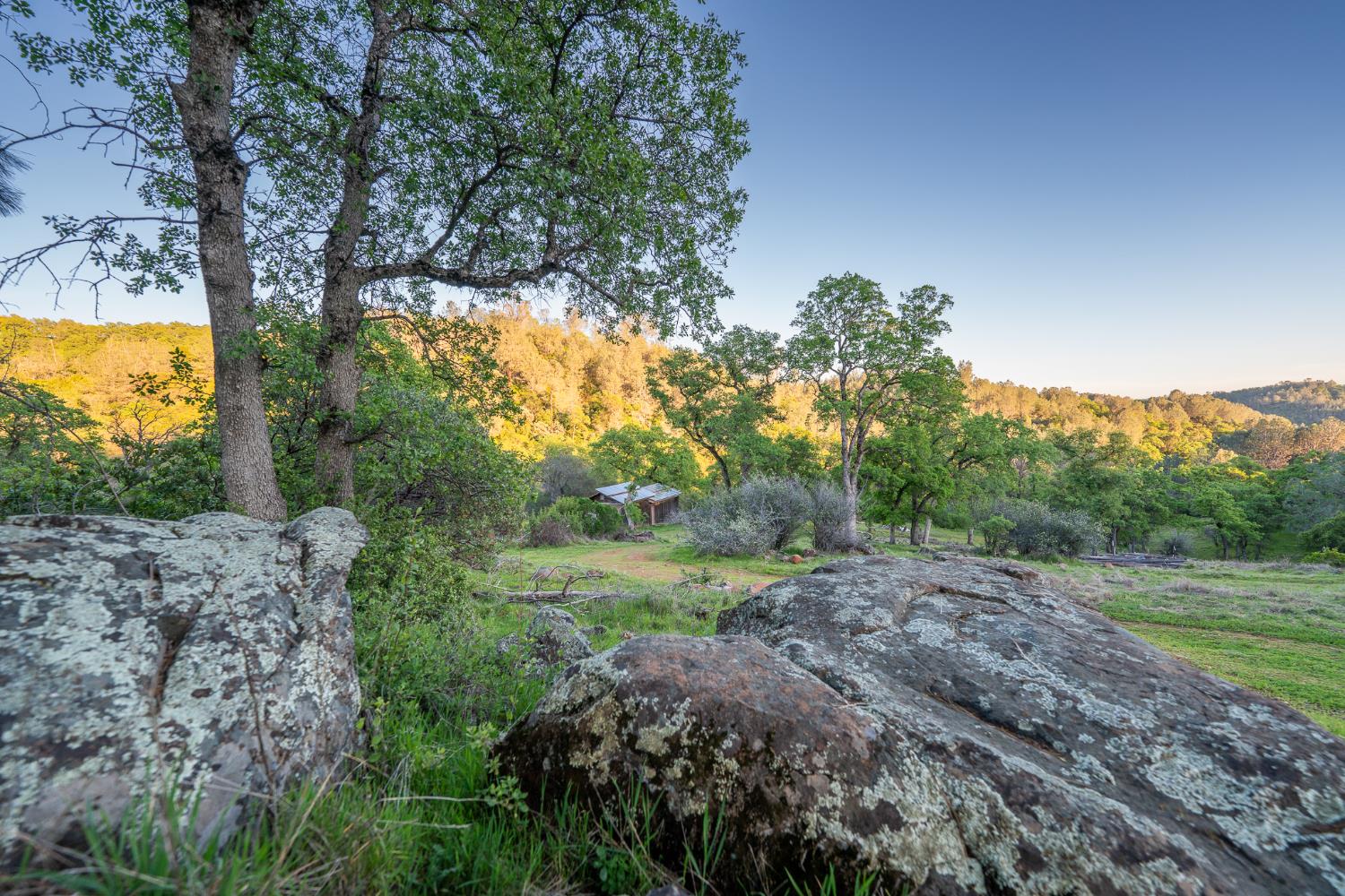 21041 Dalzell Road Smartsville, CA 95977 - Photo 3 of 84 a big yard with lots of green space and fog