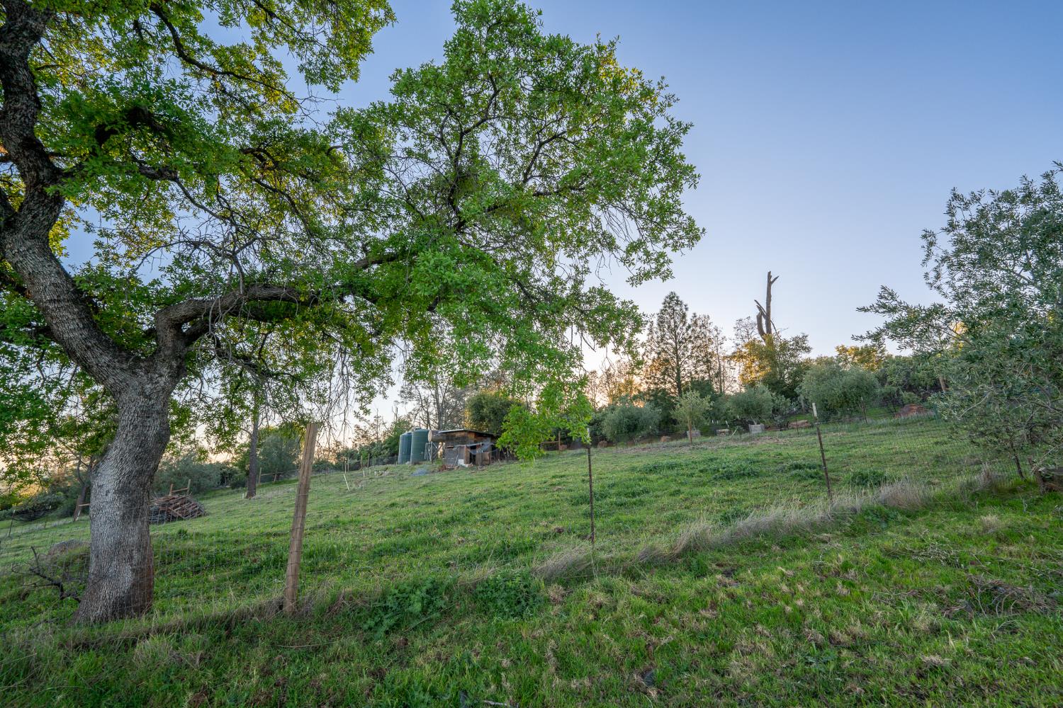 21041 Dalzell Road Smartsville, CA 95977 - Photo 32 of 84