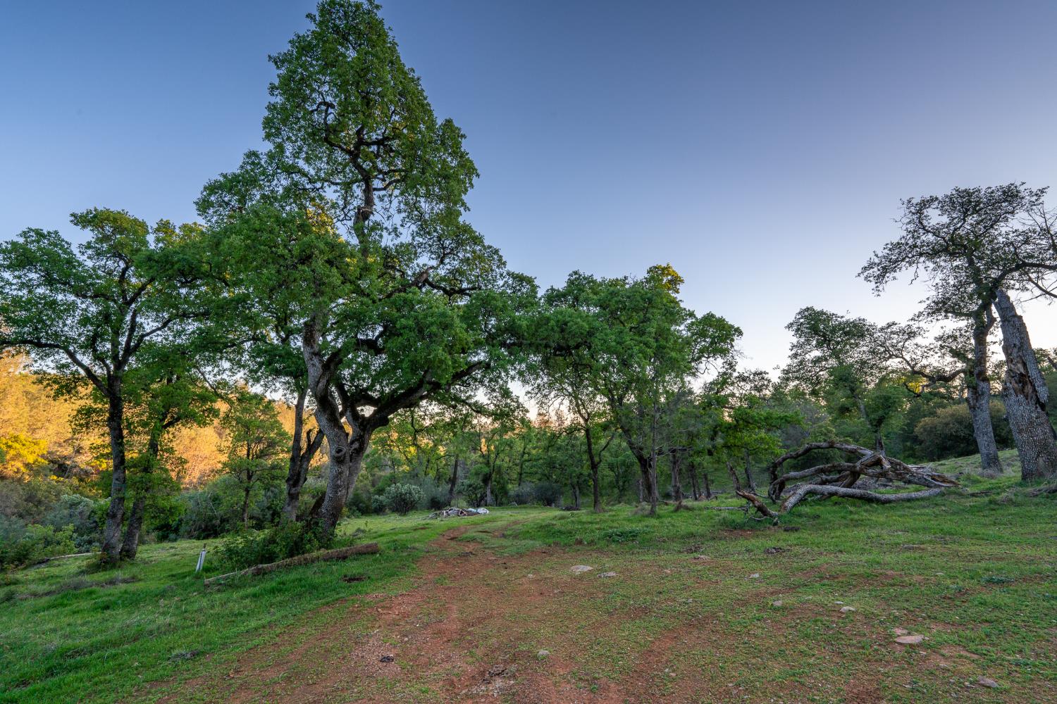 21041 Dalzell Road Smartsville, CA 95977 - Photo 33 of 84