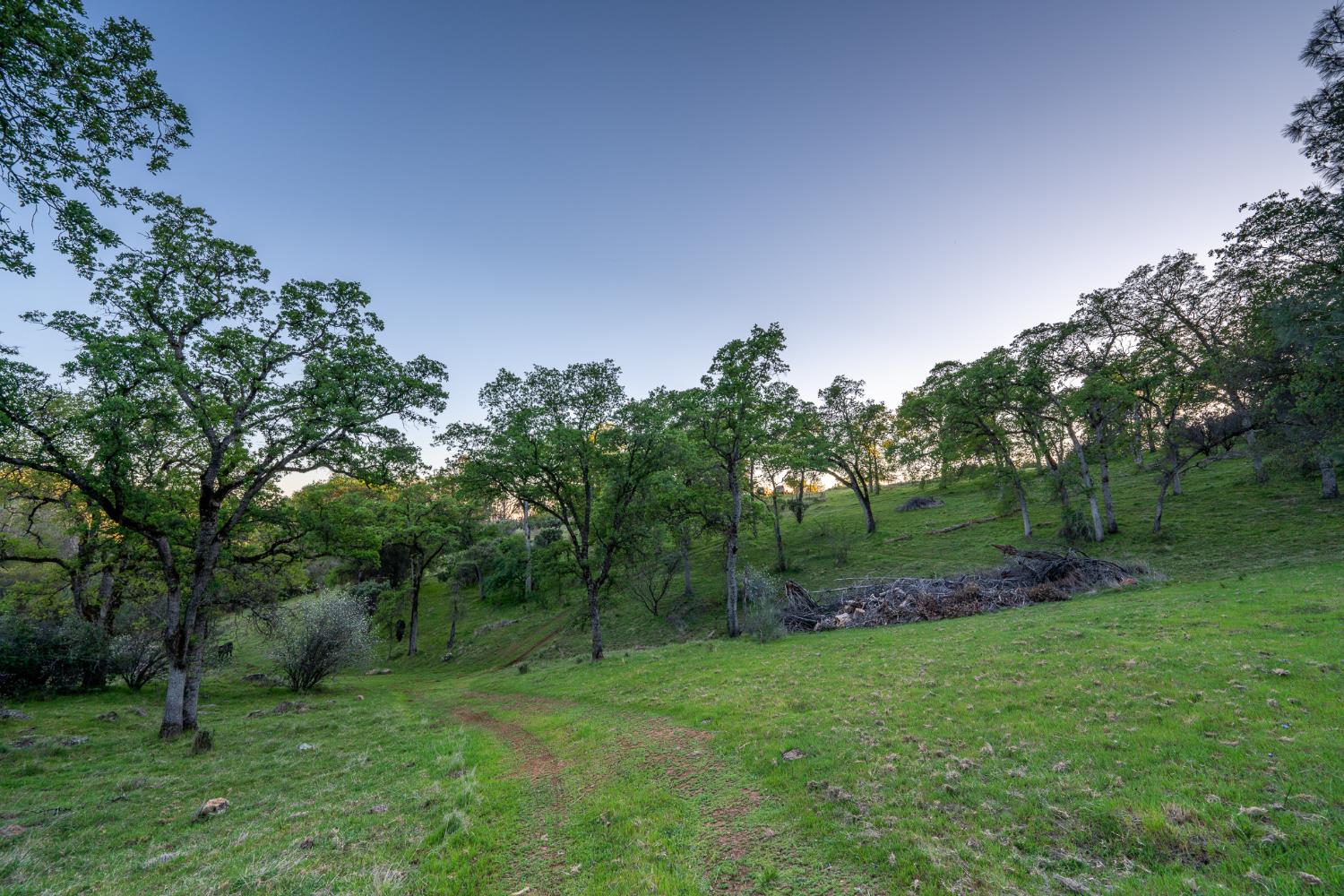 21041 Dalzell Road Smartsville, CA 95977 - Photo 34 of 84